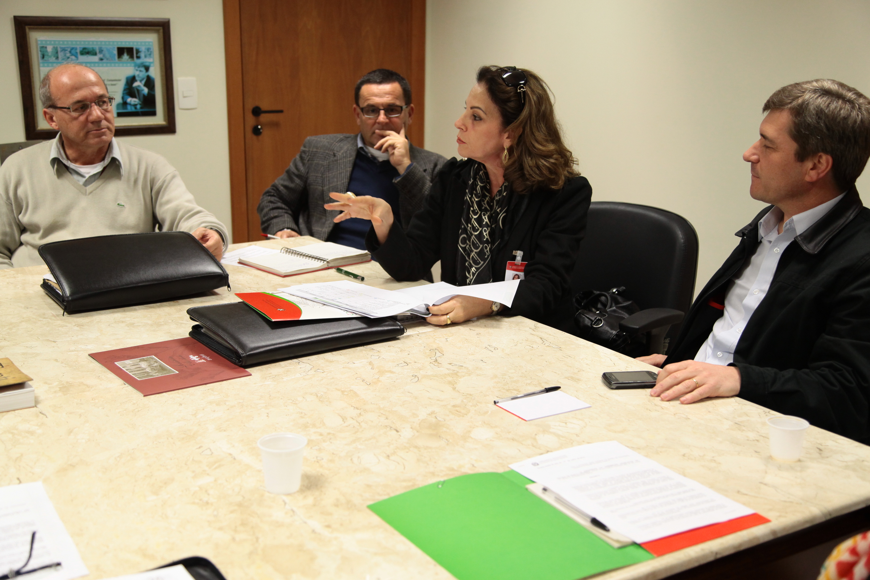 Reunião da Comissão de Defesa dos Direitos da Pessoa com Deficiência. Foto: Miriam Zomer