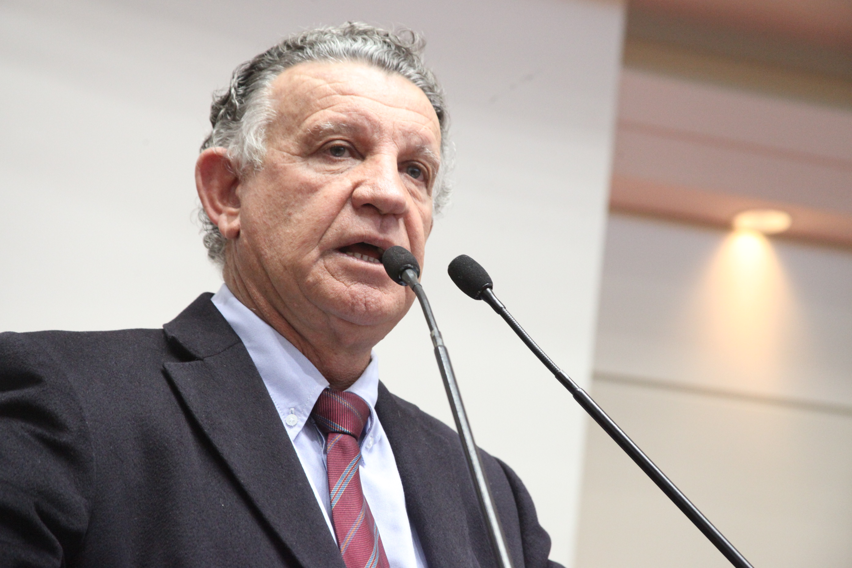 Sessão Ordinária. Foto: Fábio Queiroz