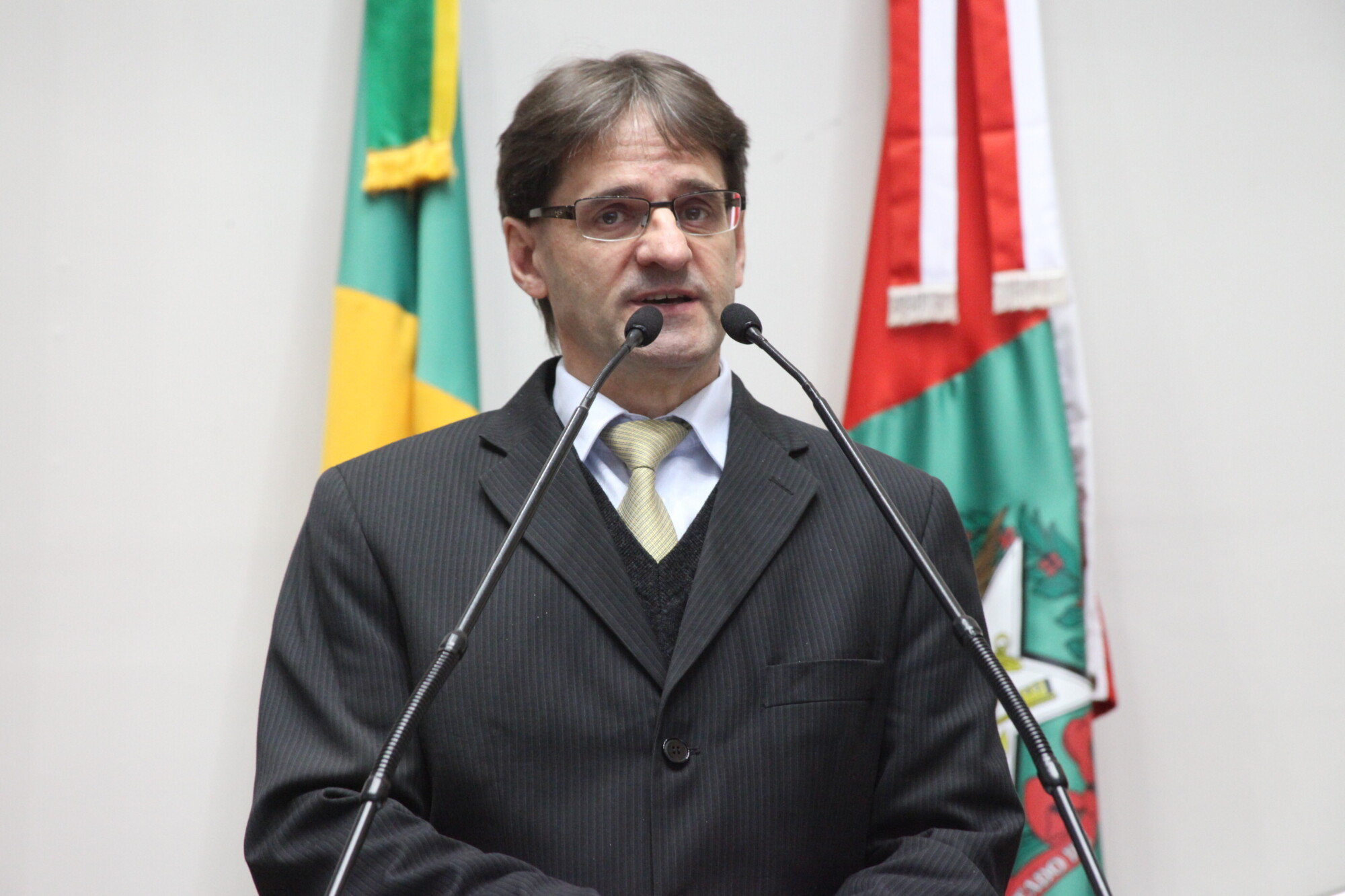 Saretta defende assinatura de 0,5% de eleitores para viabilizar projeto de iniciativa popular