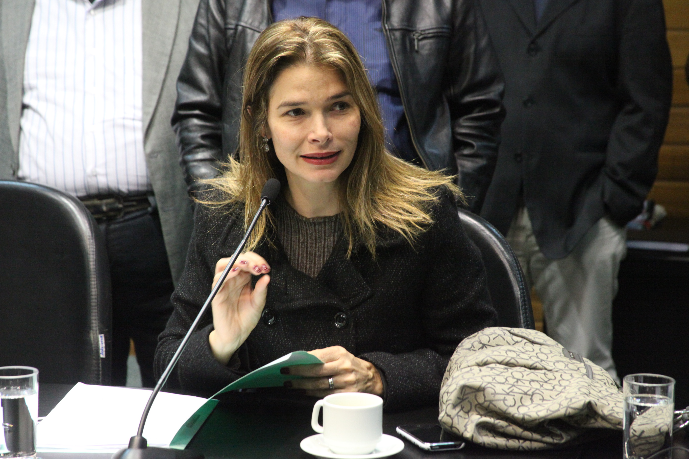 Reunião da Comissão de Constituição e Justiça. Foto: Fábio Queiroz