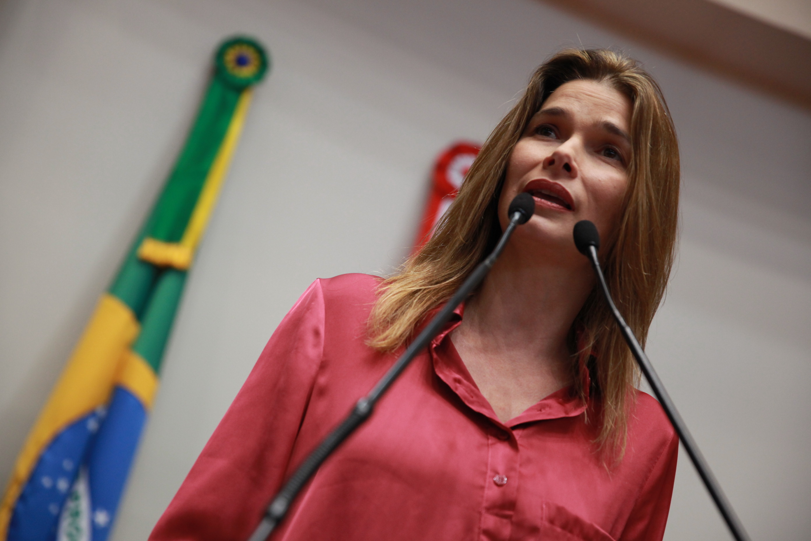 Sessão Ordinária - Plenário Osni Régis - Deputada: Angela Albino (PCdoB) - Foto: Lucas Gabriel Diniz