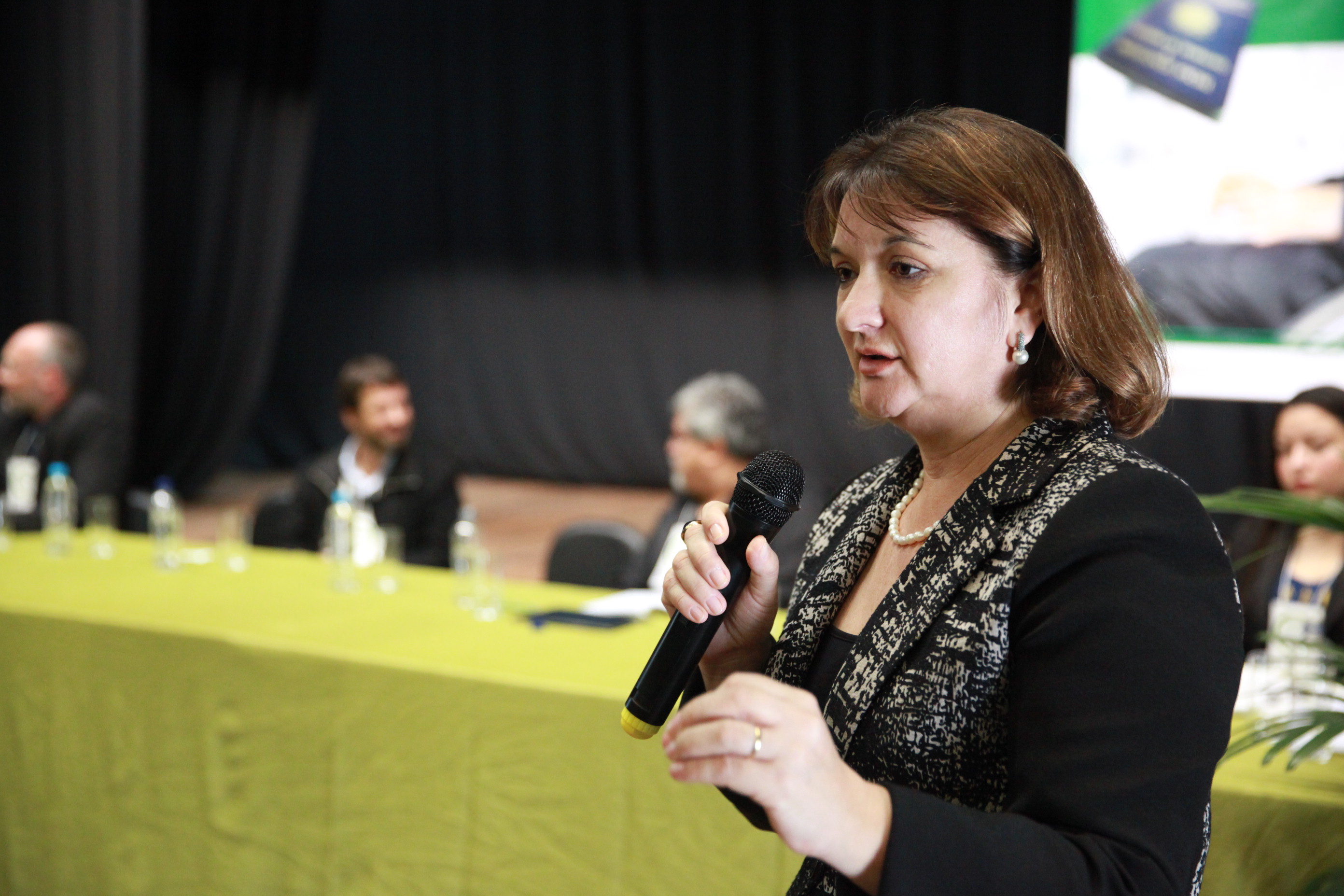 Seminário Capacit - Pessoa com Deficiência - Janice Krasniak -  Foto: Lucas Gabriel Diniz