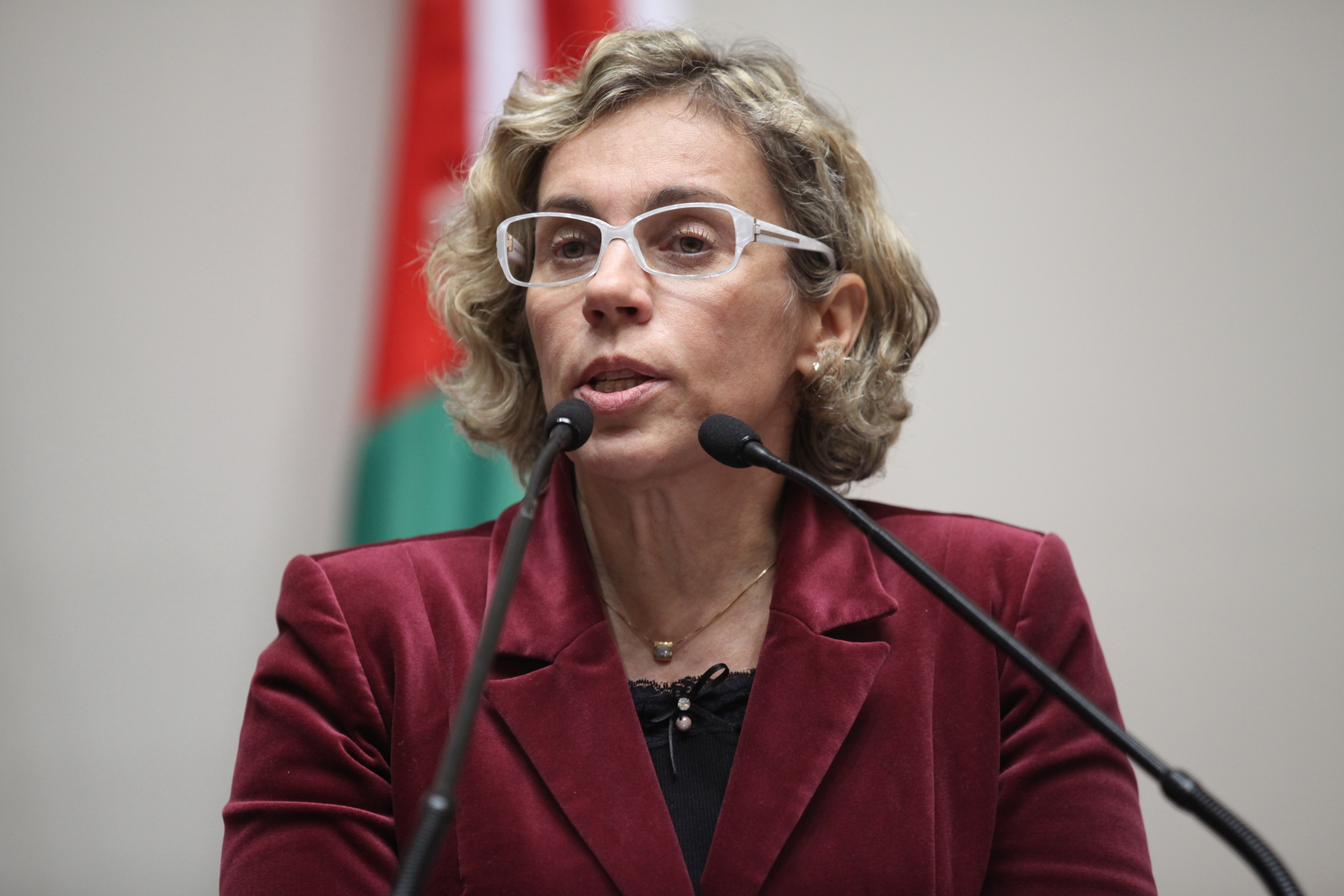 Sessão Ordinária – Plenário Osni Regis