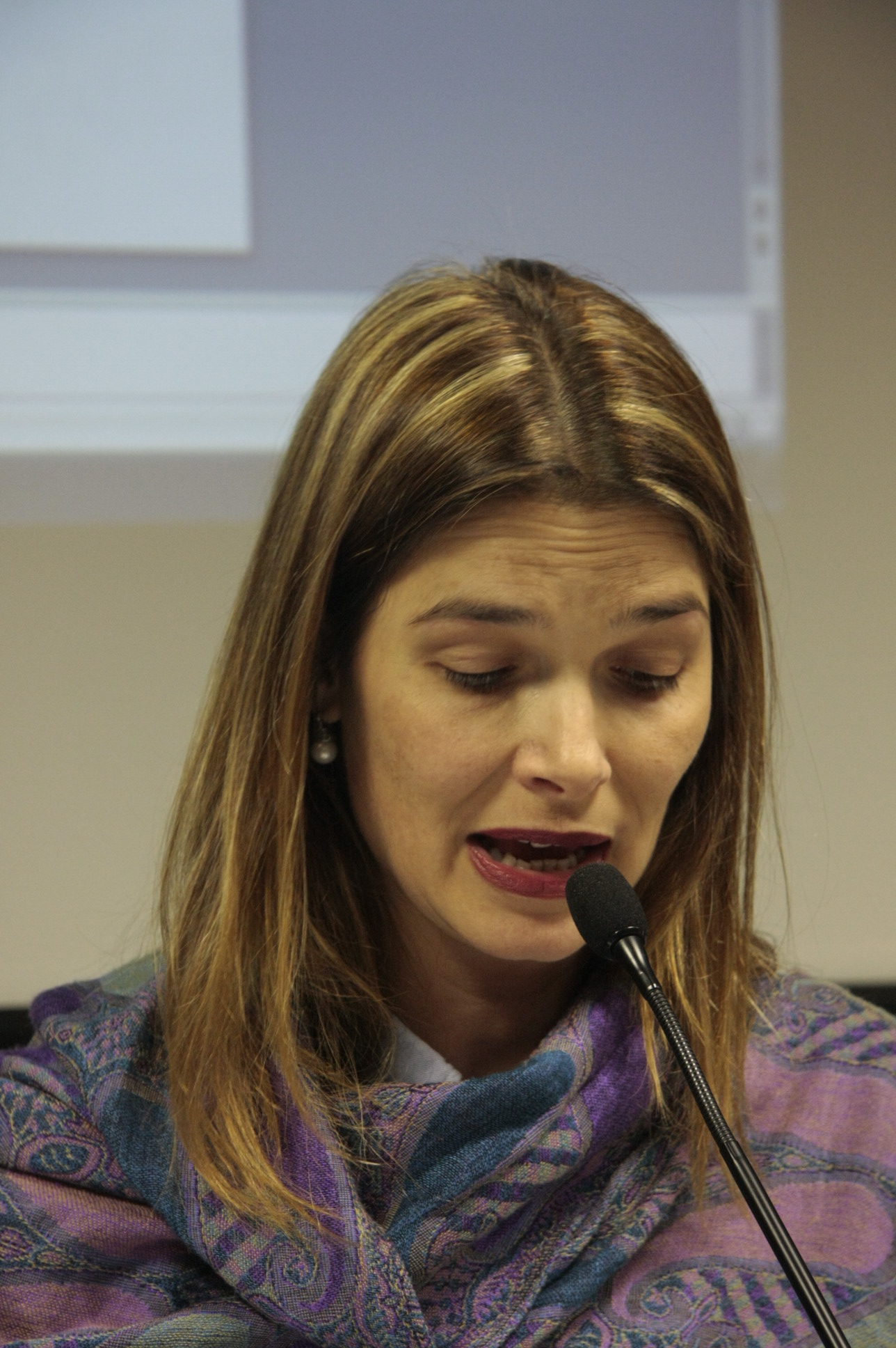 Conselho Estadual de Direto Humanos de SC - Deputada: Angela Albino (PCdoB) - Foto: Eduardo Guedes de Olivei