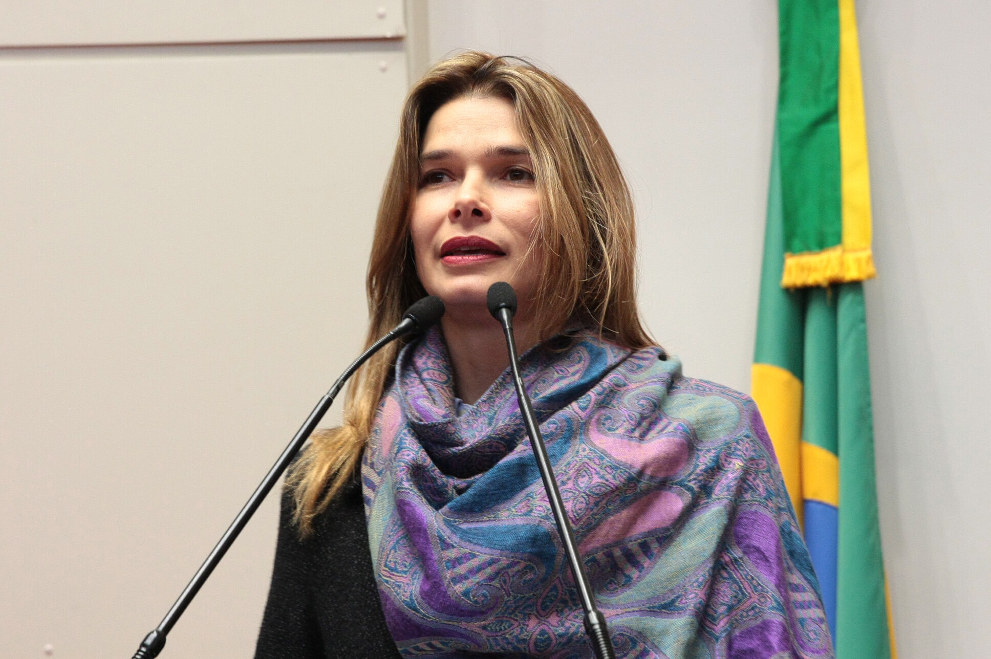 Angela Albino tenta impedir que CCJ decida sobre abertura da CPI das Águas