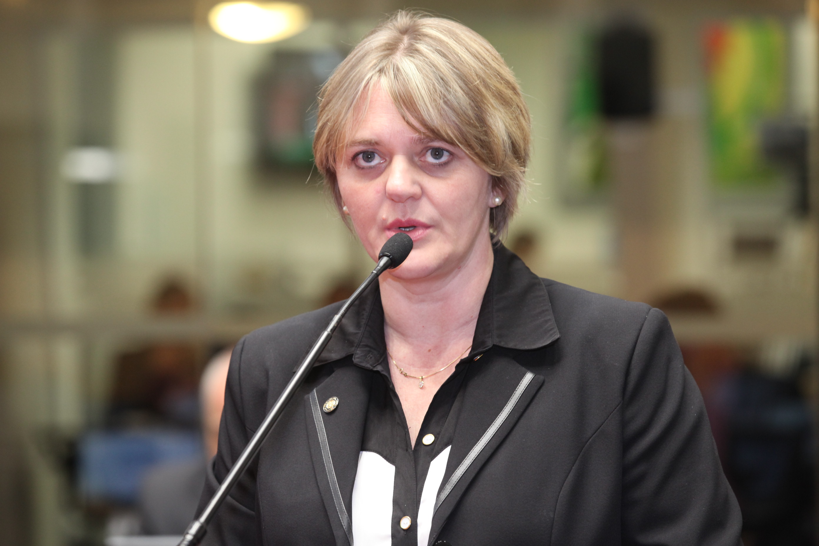 Sessão Ordinária - Plenário Osni Régis. Deputada Luciane Carminatti (PT)