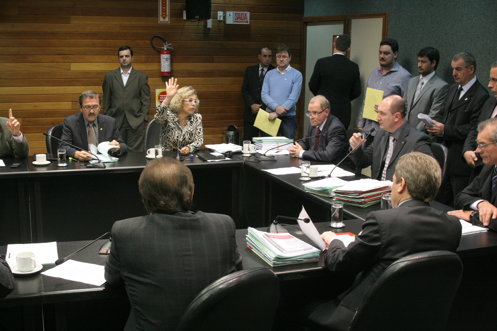 Reunião da Comissão de Constituição e Justiça. Foto: Eduardo Guedes de Oliveira