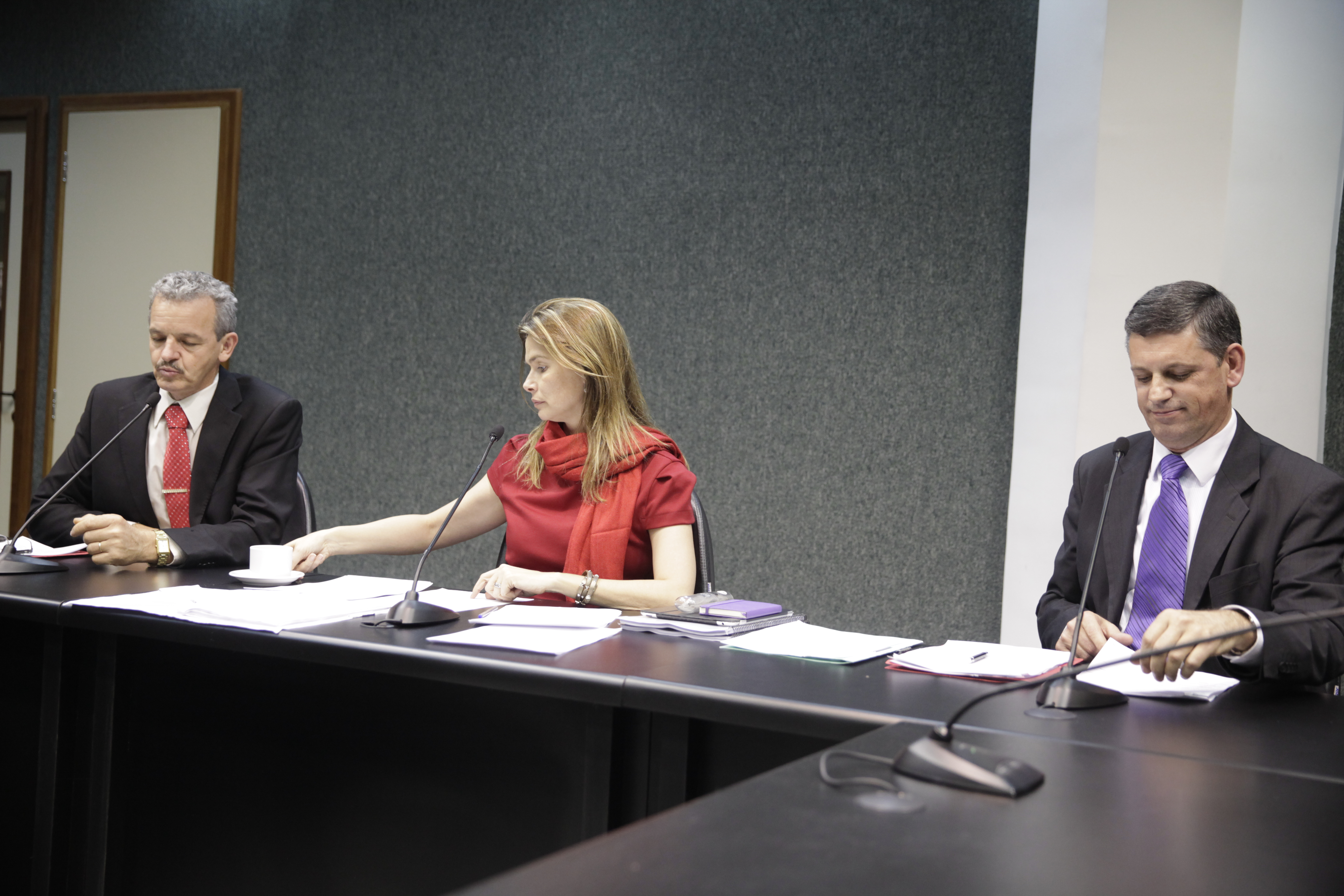 Reunião da Comissão de Economia. Foto: Carlos Kilian