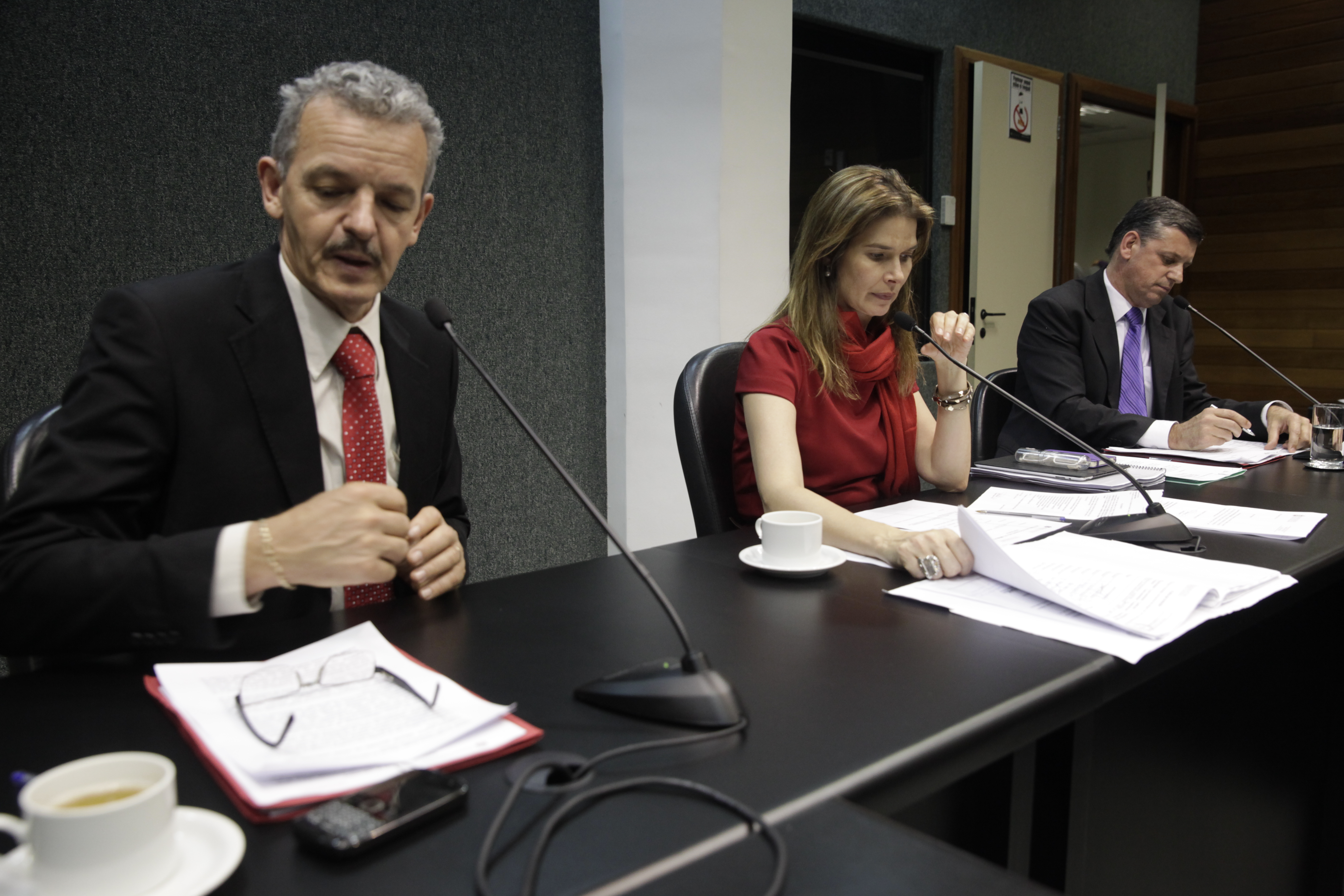 Reunião da Comissão de Economia. Foto: Carlos Kilian