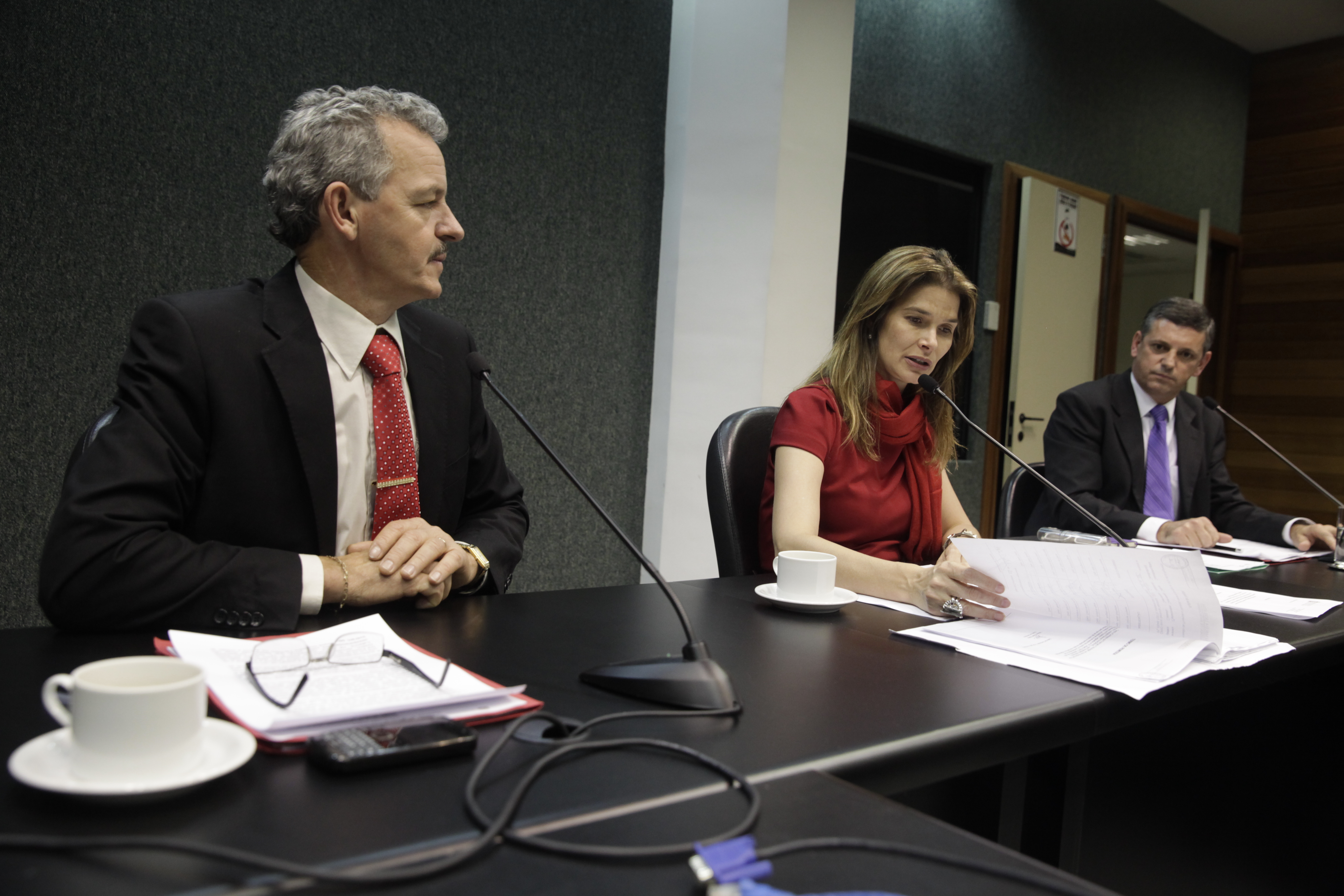 Reunião da Comissão de Economia. Foto: Carlos Kilian