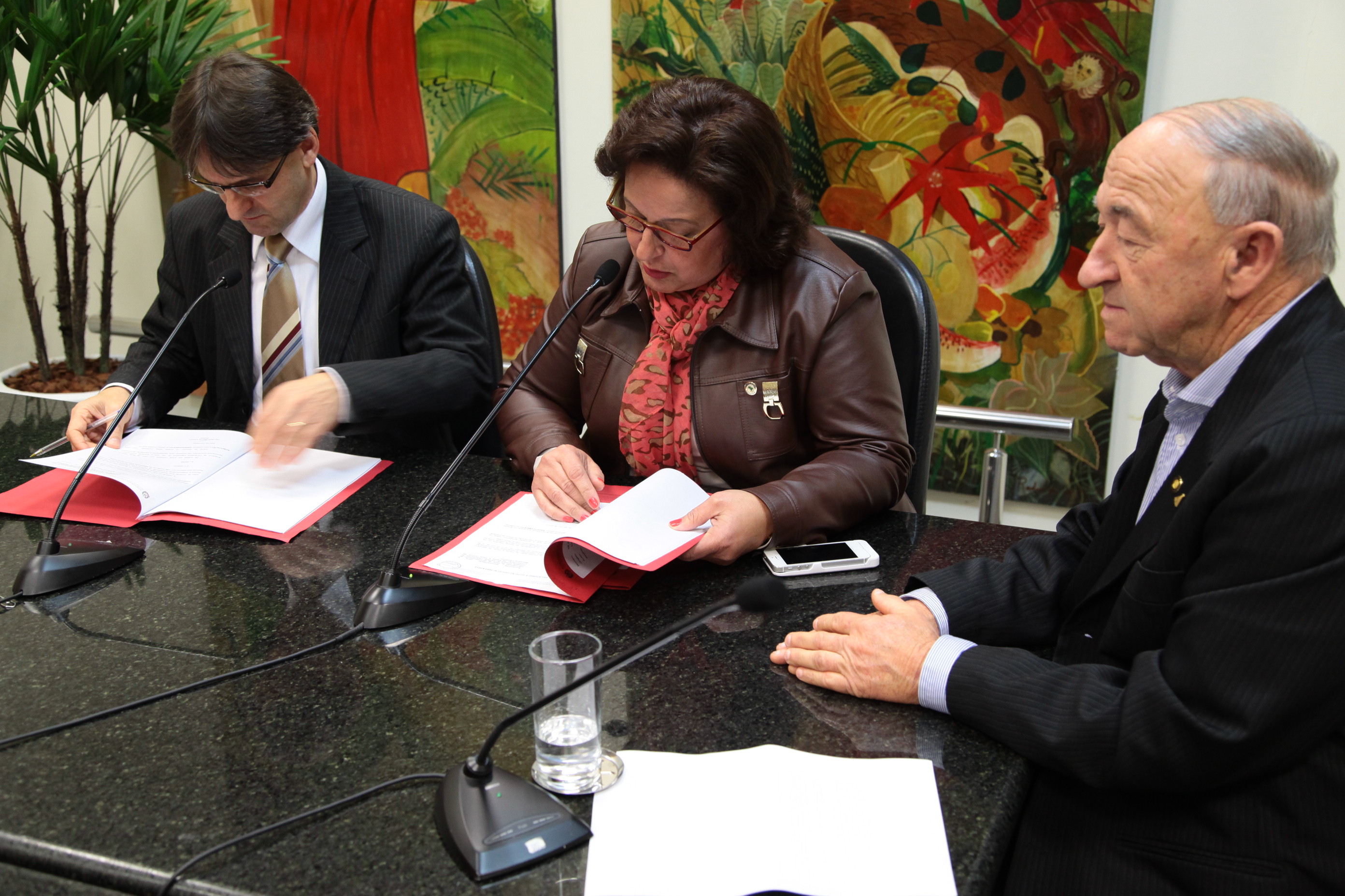 Reunião da Comissão de Turismo e Meio Ambiente e Comissão de Saúde. Foto: Miriam Zomer