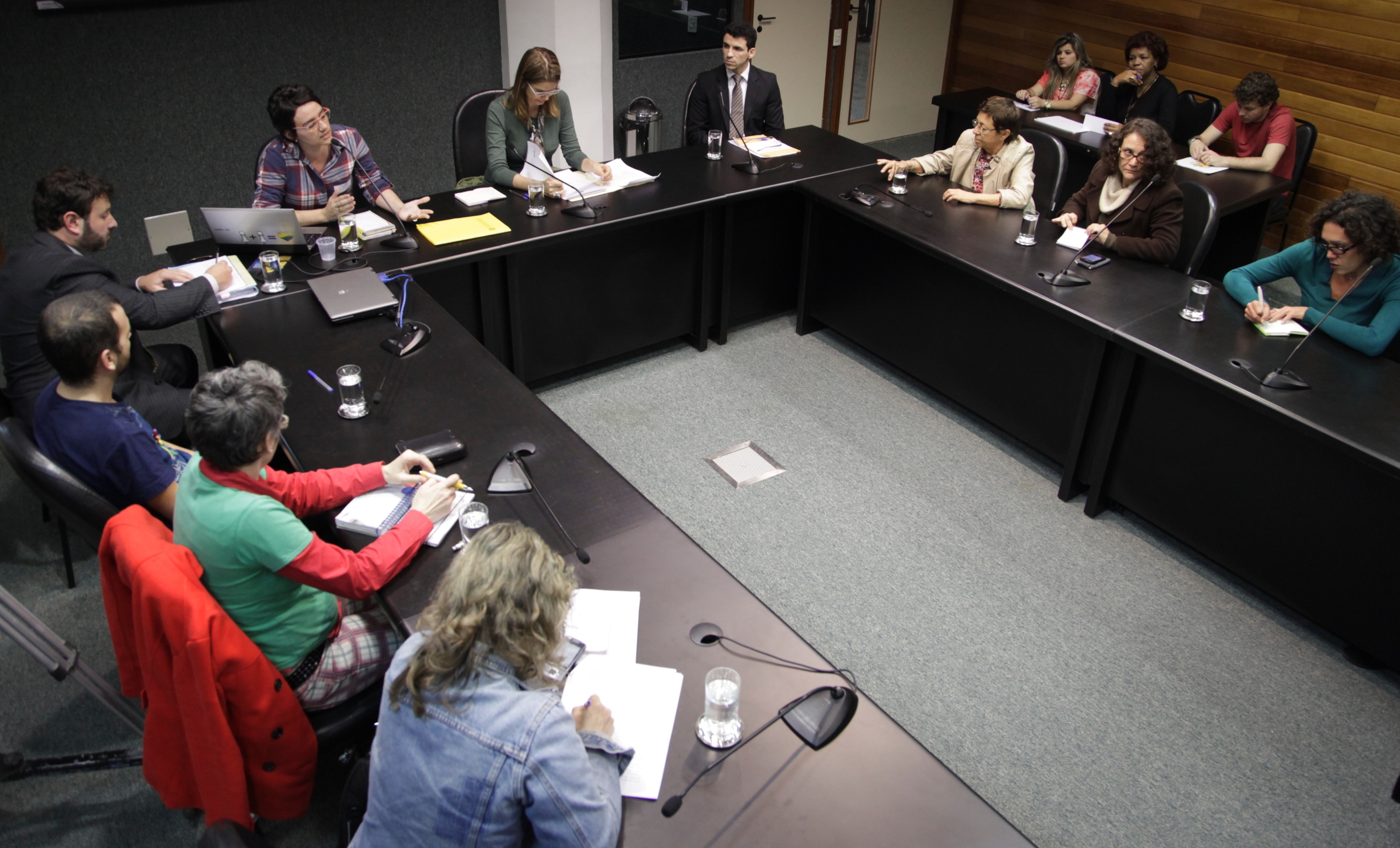 Audiência Pública   O Sistema Nacional de Enfrentamento à Violência Contra LGBT   Foto Carlos Kilian/Agencia AL
