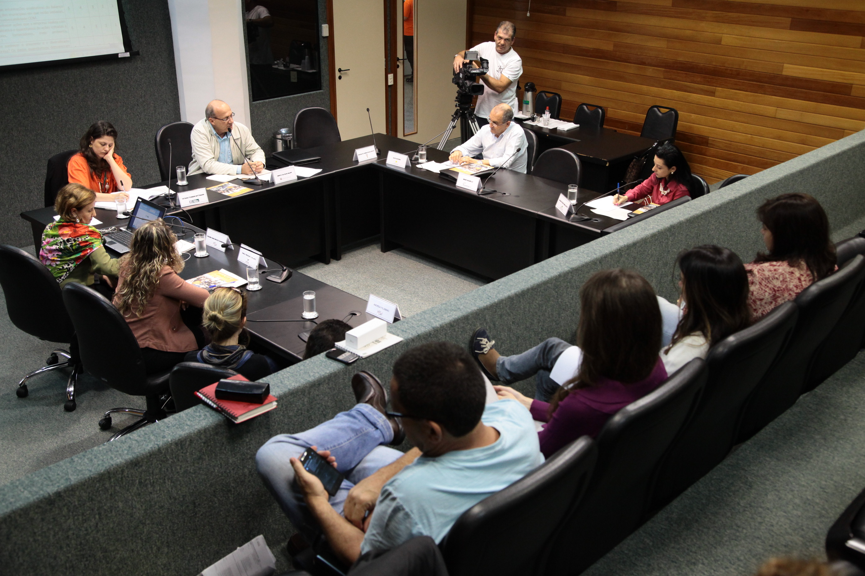 Reunião da Comissão Mista de Responsabilidade Social. Foto: Miriam Zomer