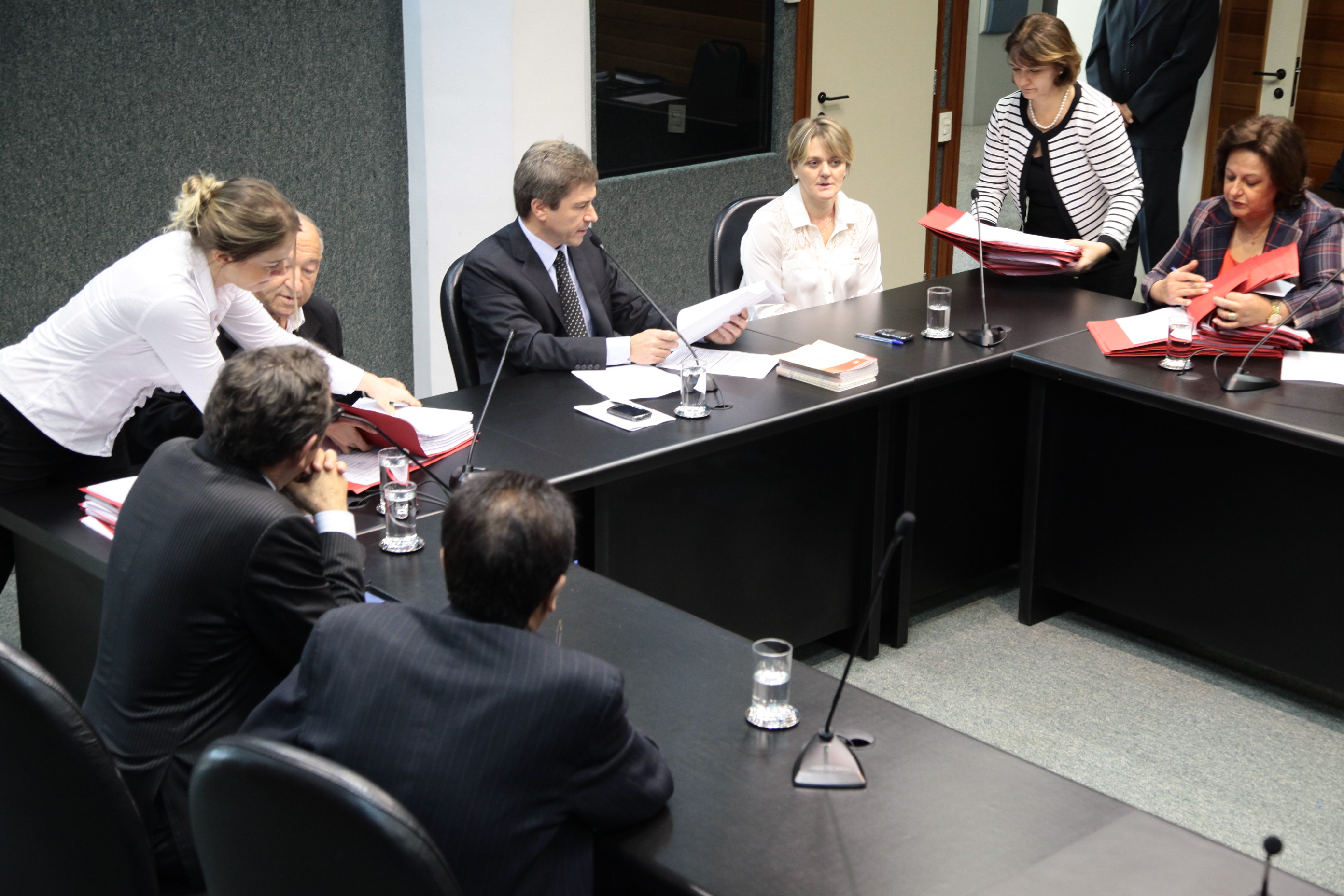 Reunião da Comissão de Defesa dos Direitos da Pessoa com Deficiência. Foto: Miriam Zomer/ Agência AL.