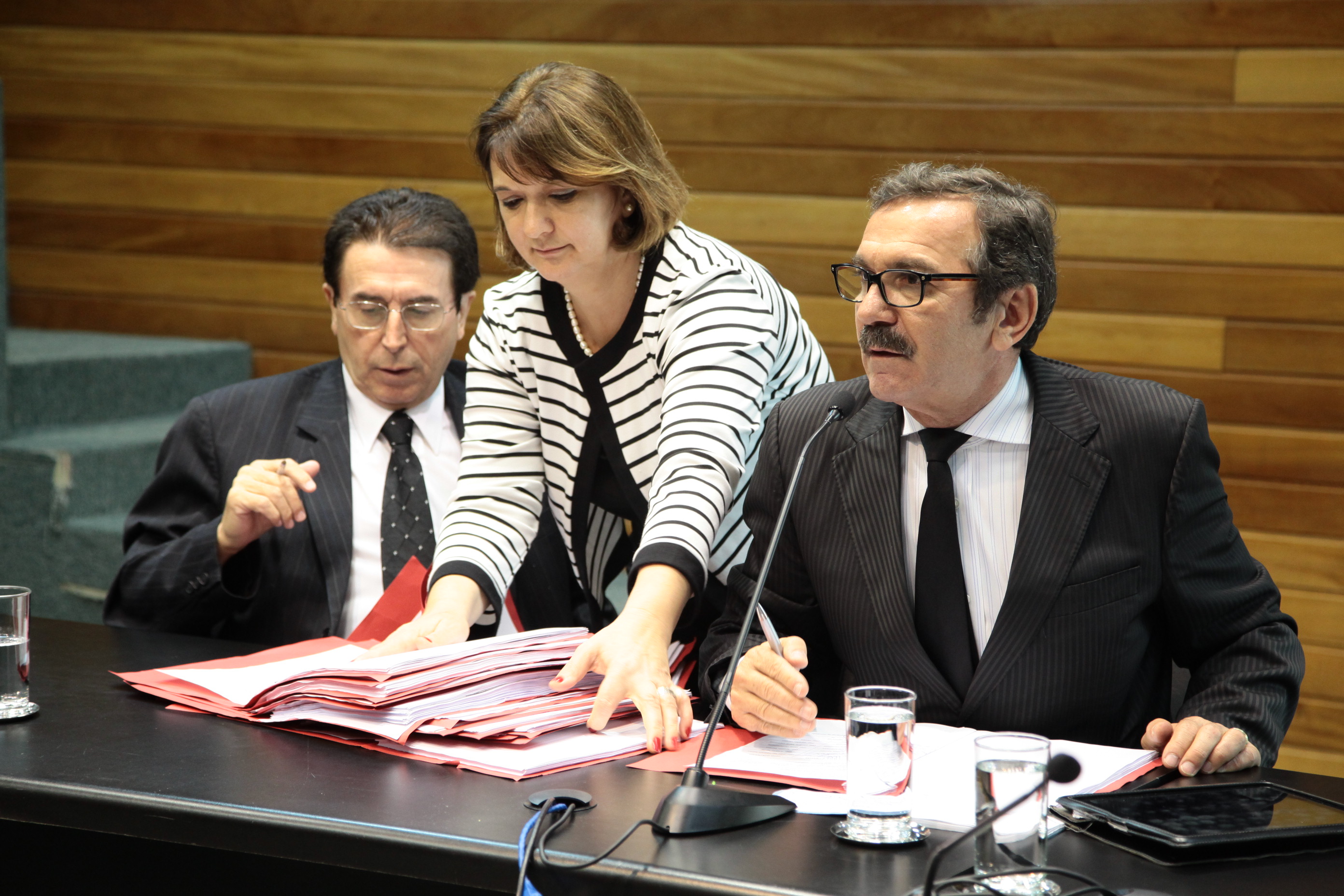 Reunião da Comissão de Defesa dos Direitos da Pessoa com Deficiência. Foto: Miriam Zomer/ Agência AL.