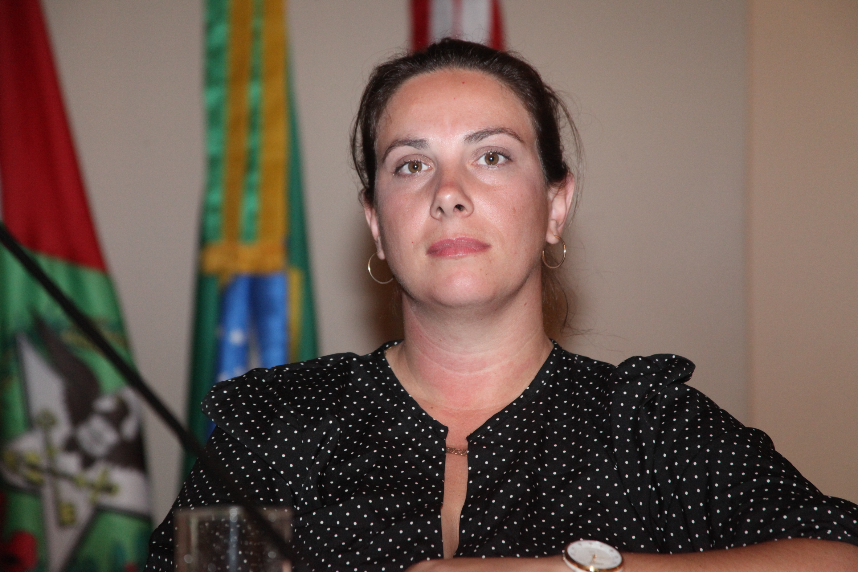 I Seminário Nacional Desafios do Envelhecimento na Sociedade Brasileira. Foto: Fábio Queiroz/Agência AL