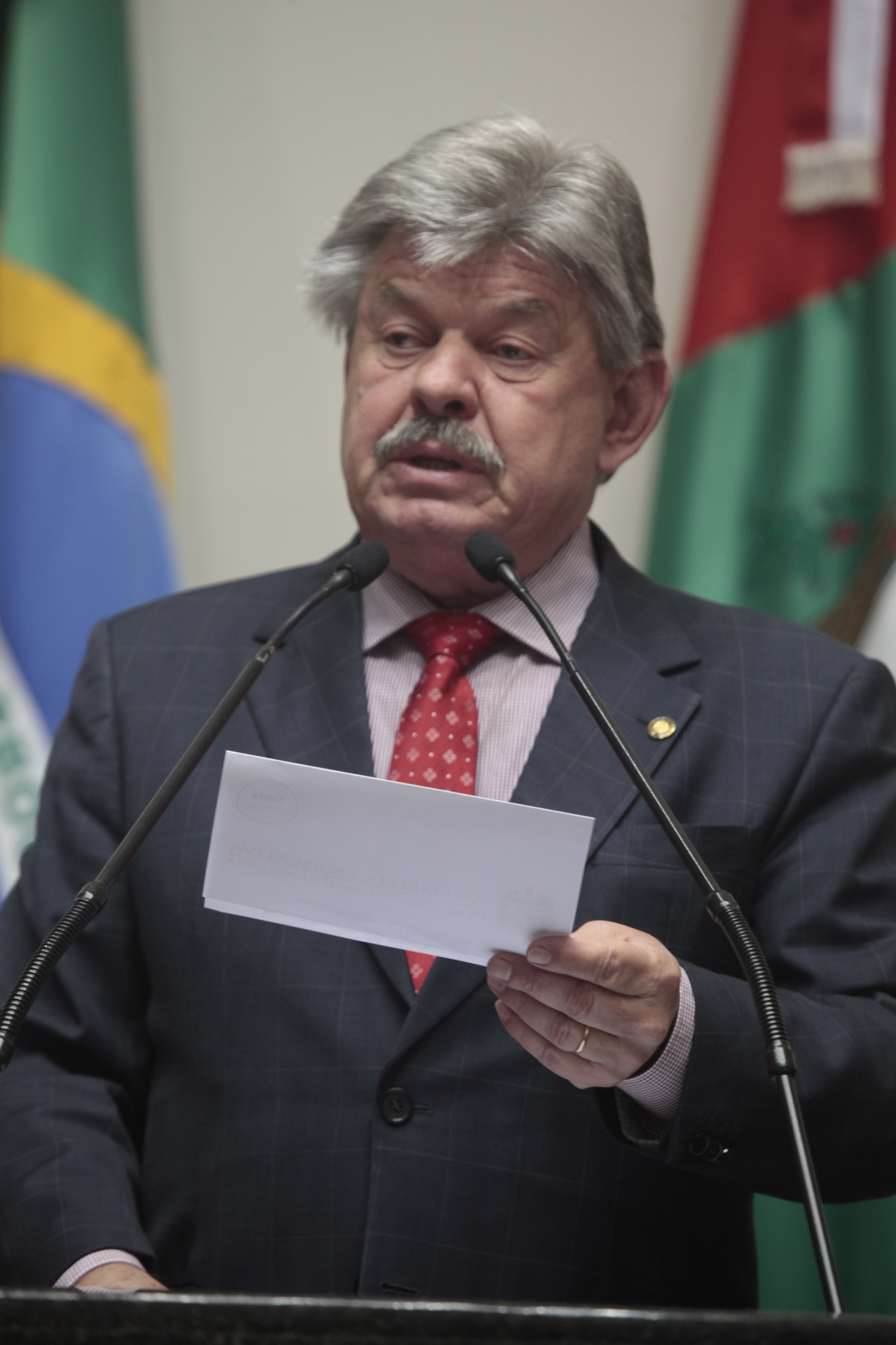 Sessão Plenária