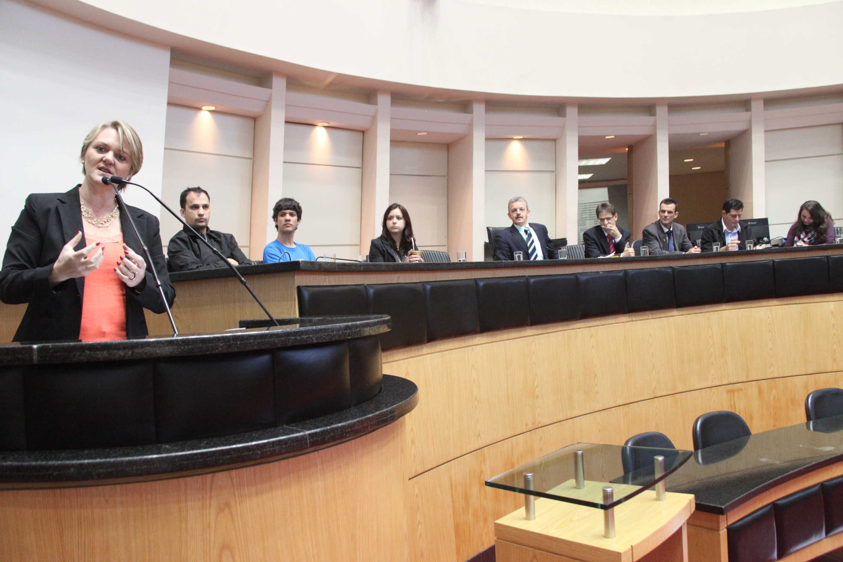 Comissão de Direitos Humanos promove audiência pública para debater o Estatuto Nacional da Juventude. Foto: Fábio Queiroz/Agência AL