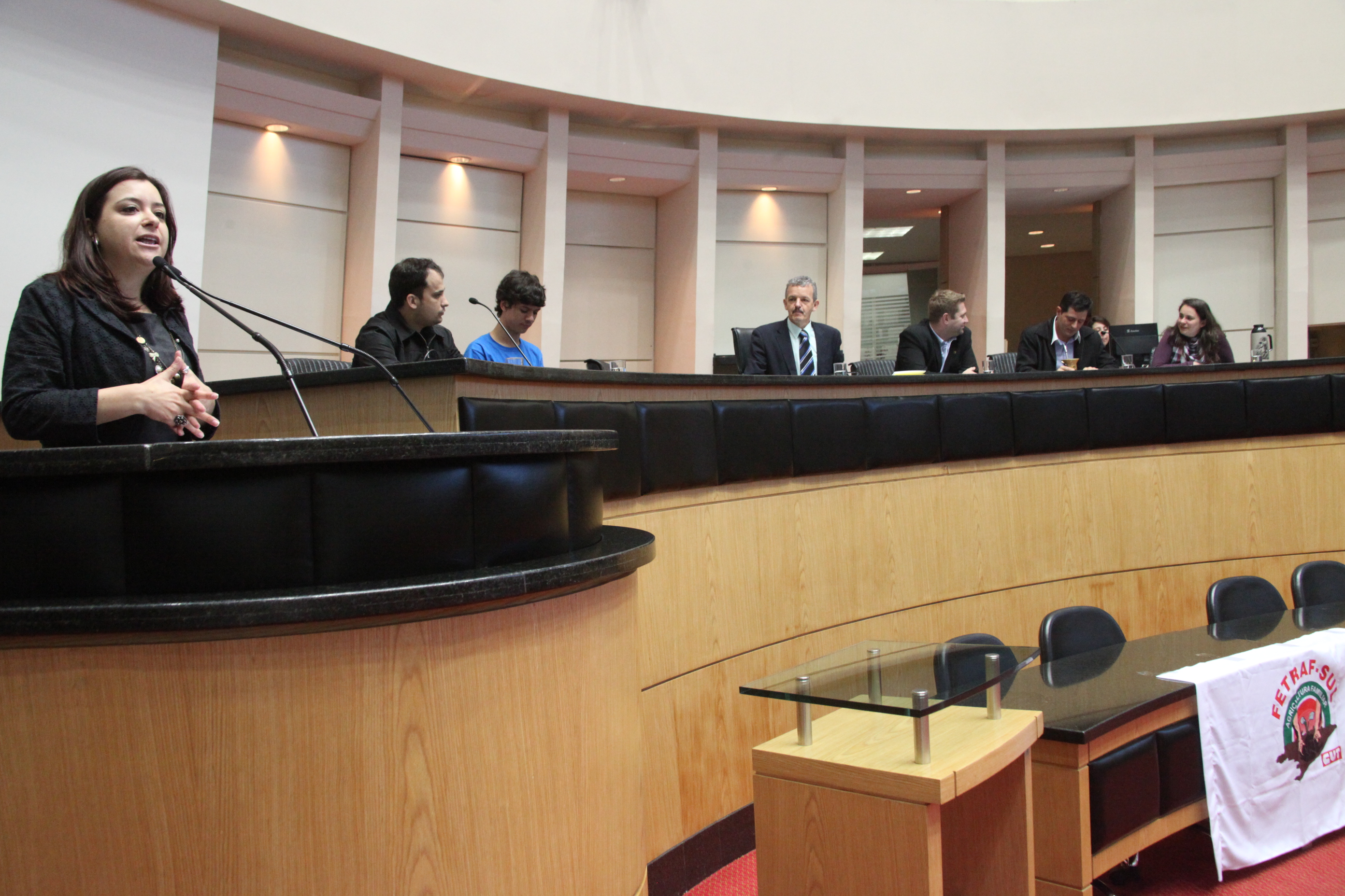Comissão de Direitos Humanos promove audiência pública para debater o Estatuto Nacional da Juventude. Foto: Fábio Queiroz/Agência AL