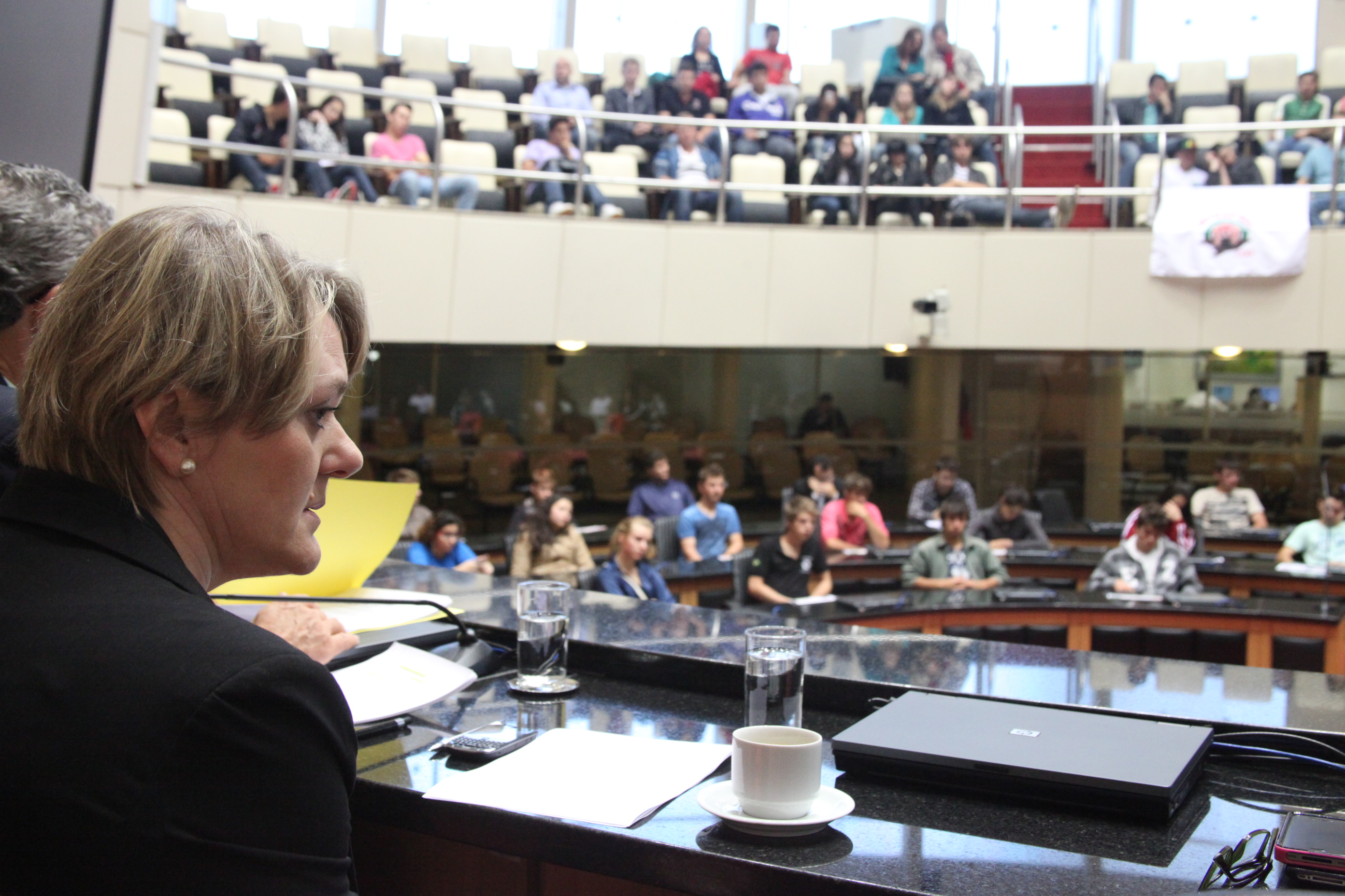 Comissão de Direitos Humanos promove audiência pública para debater o Estatuto Nacional da Juventude. Foto: Fábio Queiroz/Agência AL