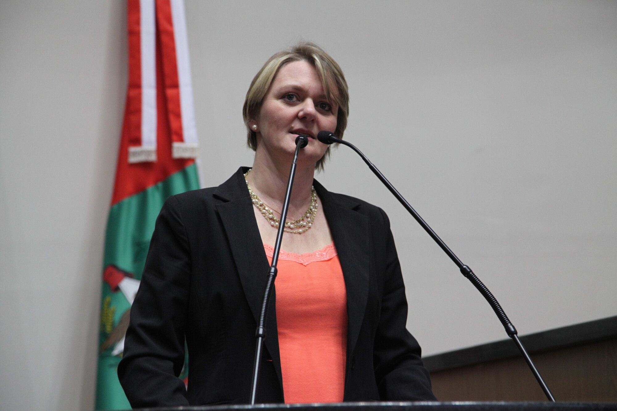 Bancada Feminina da Alesc realiza Seminário de Políticas Públicas para Mulheres