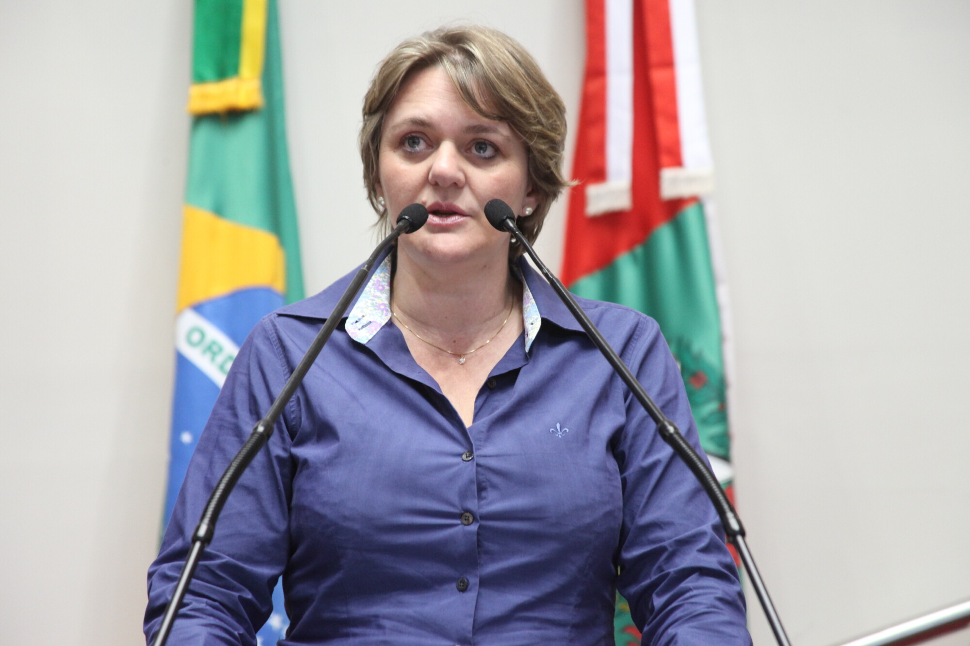 Audiência pública debate situação do Centro de Referência à Mulher Vítima de Violência de Rio do Sul