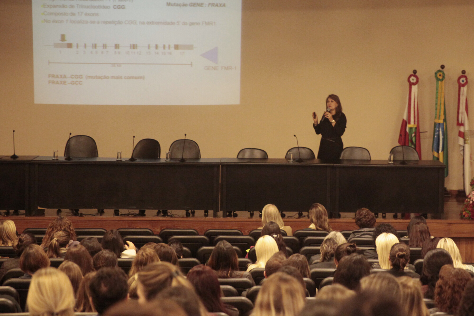 Assembleia sedia VII Encontro Catarinense da Síndrome do X- Frágil