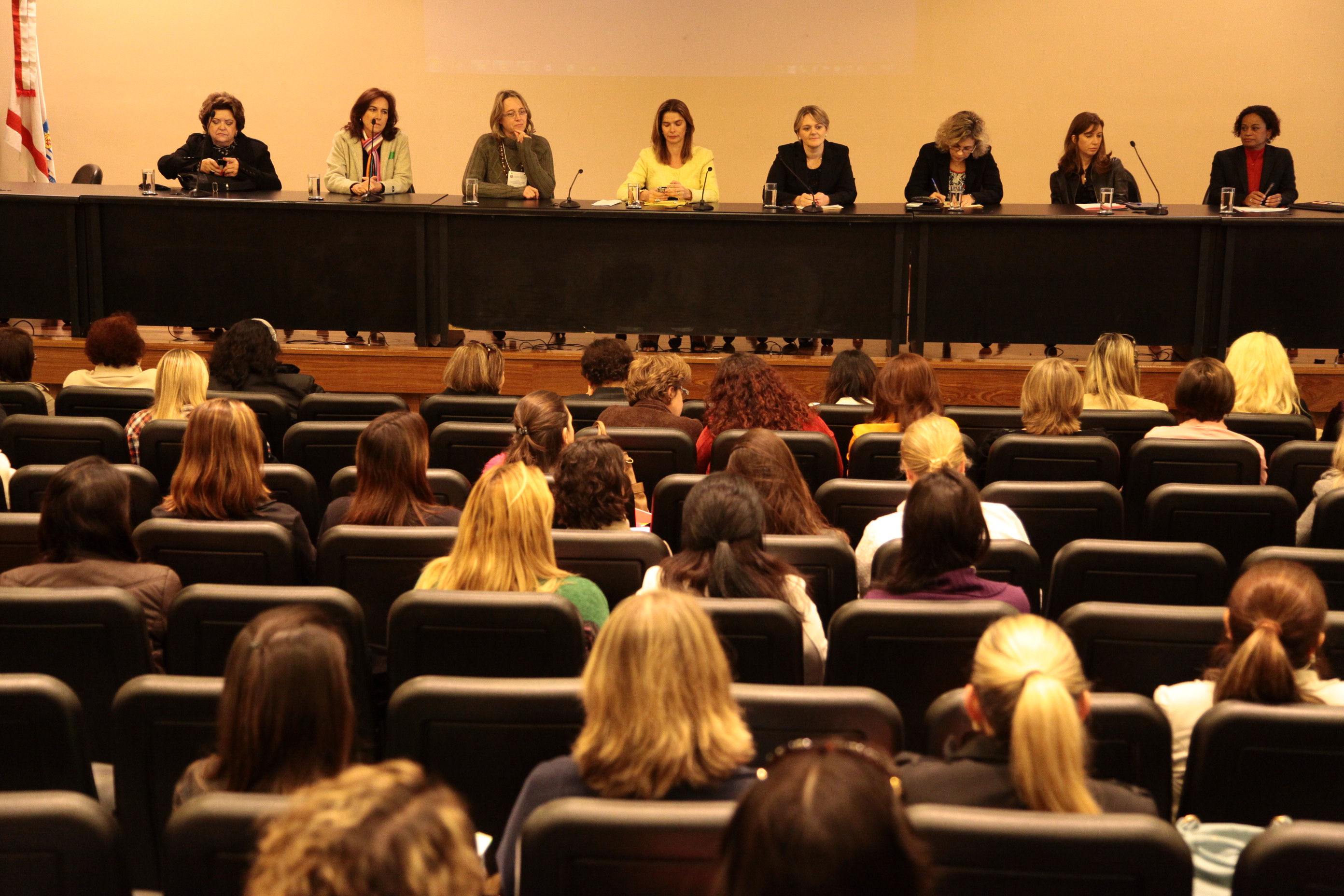 Seminário sobre Violência contra a Mulher