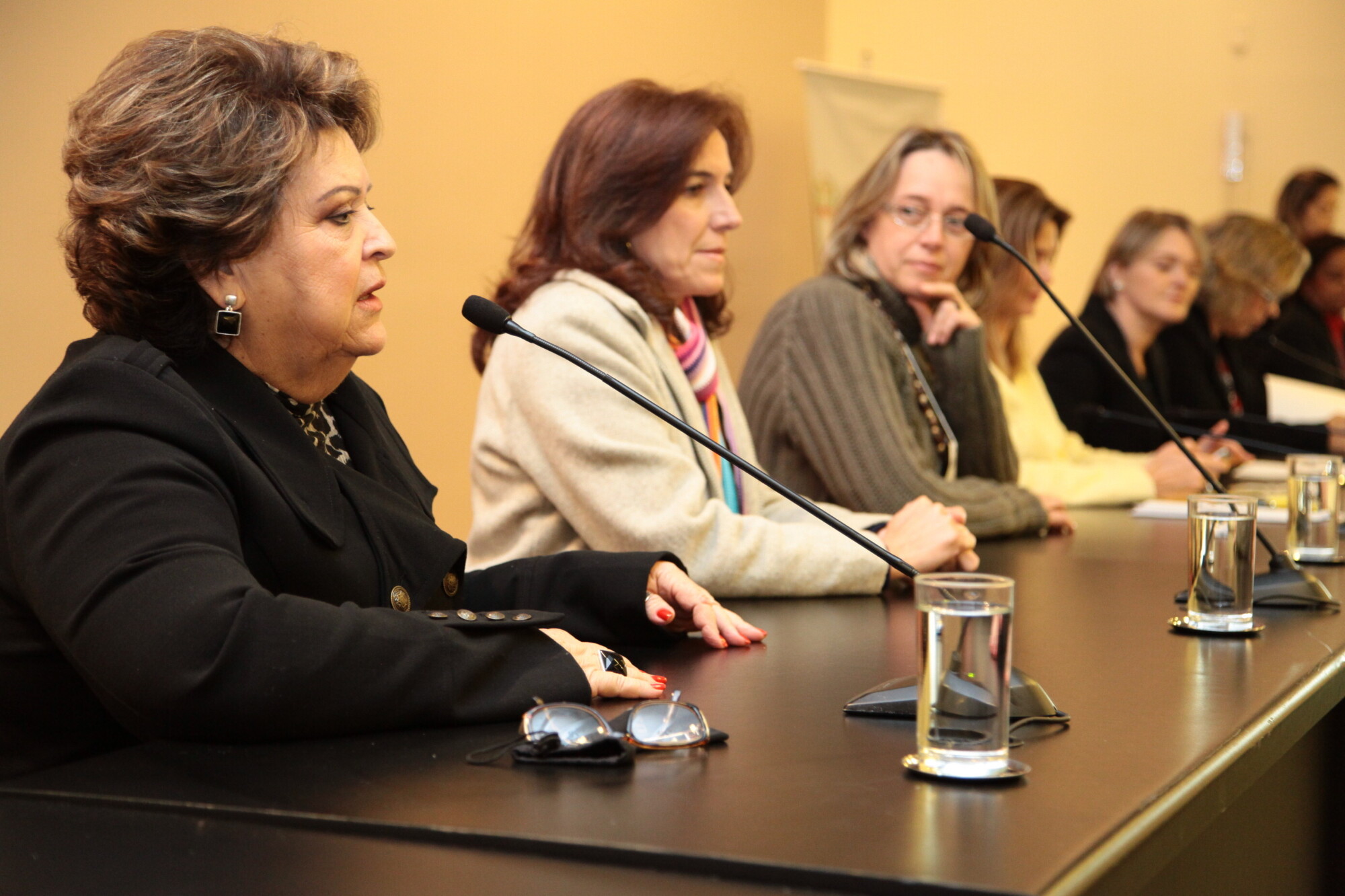Bancada feminina debate Políticas Públicas para Mulheres em seminário