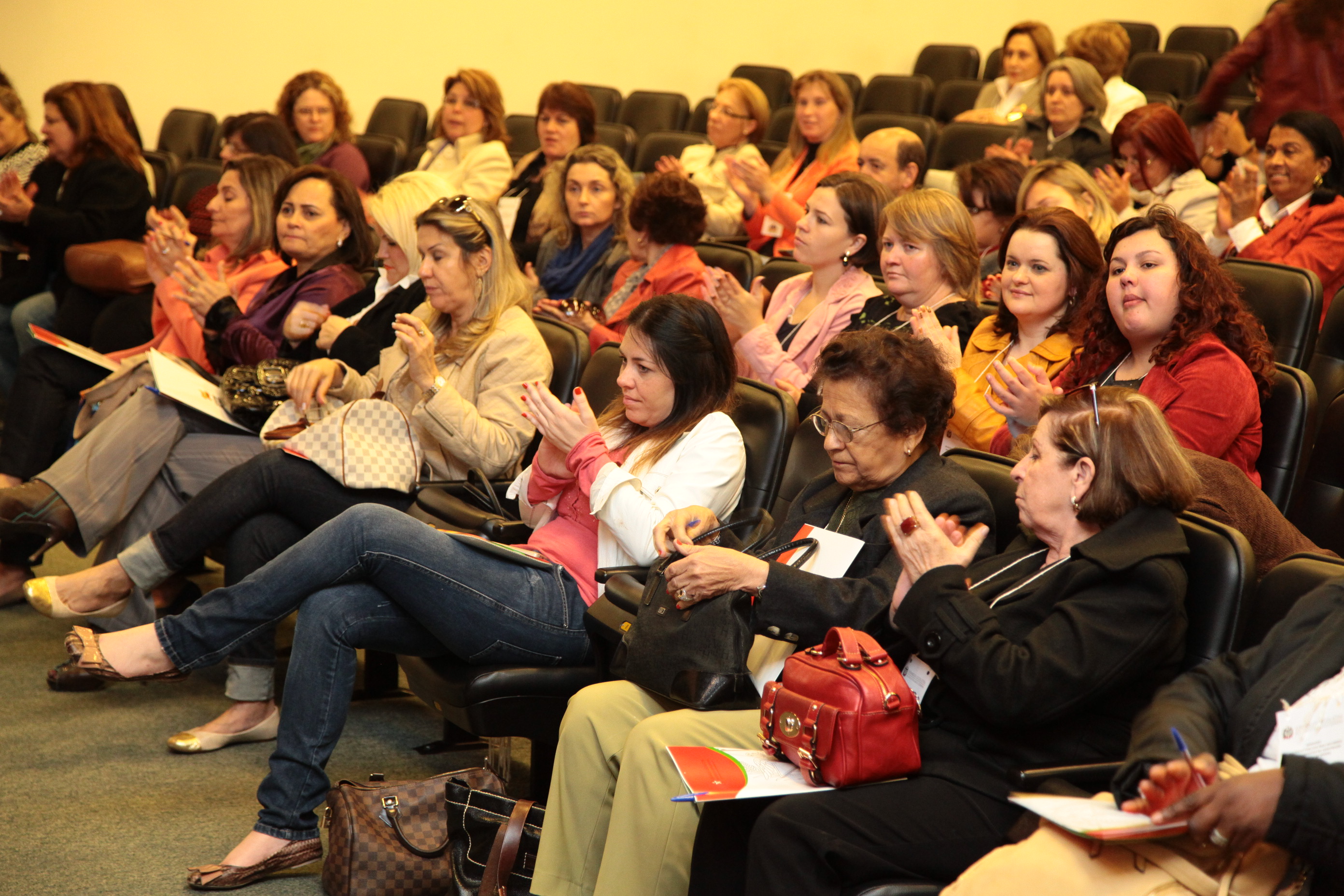 Seminário sobre Violência contra a Mulher, promovido pela Bancada Feminina da Alesc. Foto: Miriam Zomer/ Agência AL