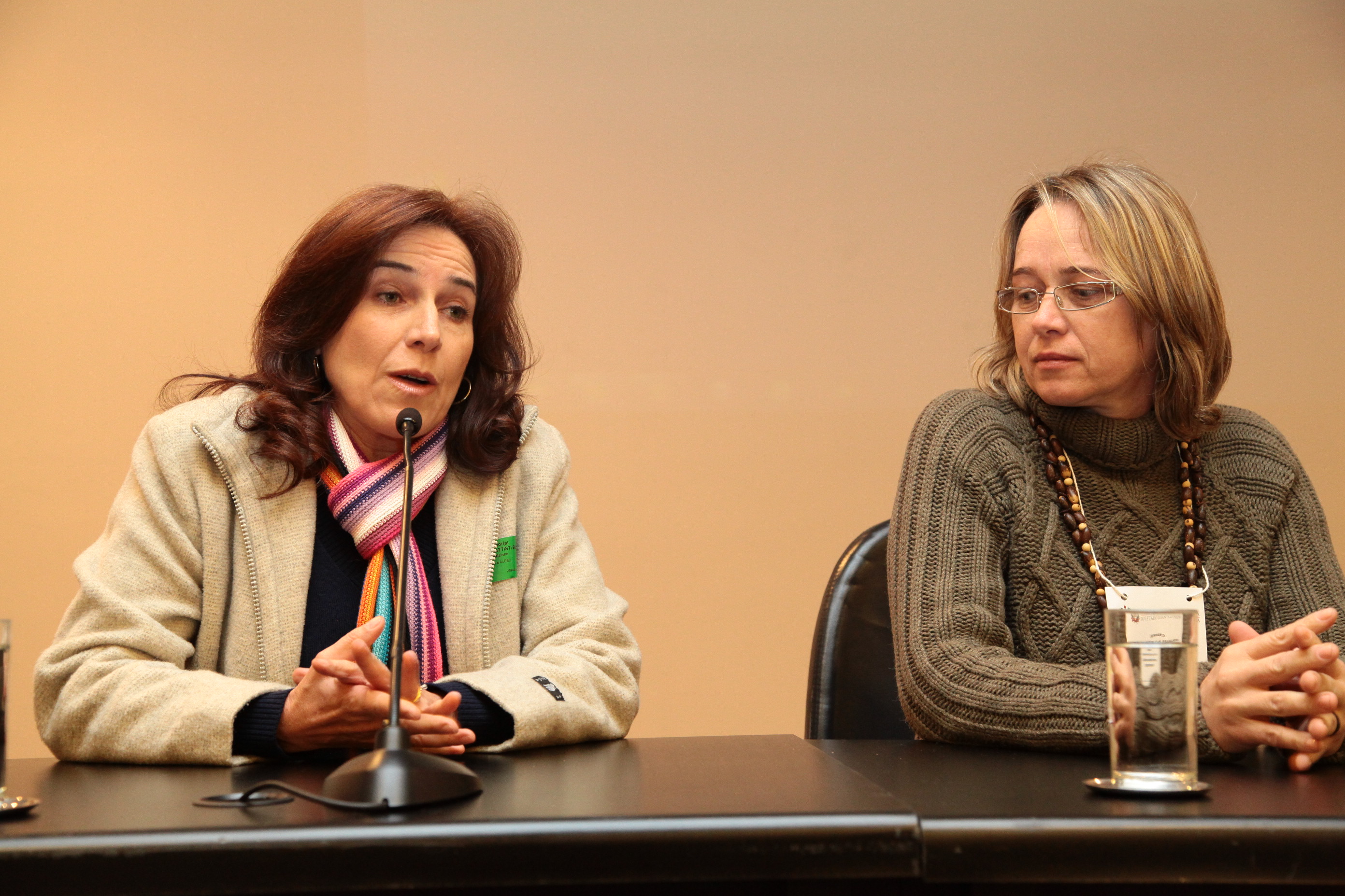 Seminário sobre Violência contra a Mulher, promovido pela Bancada Feminina da Alesc. Foto: Miriam Zomer/ Agência AL