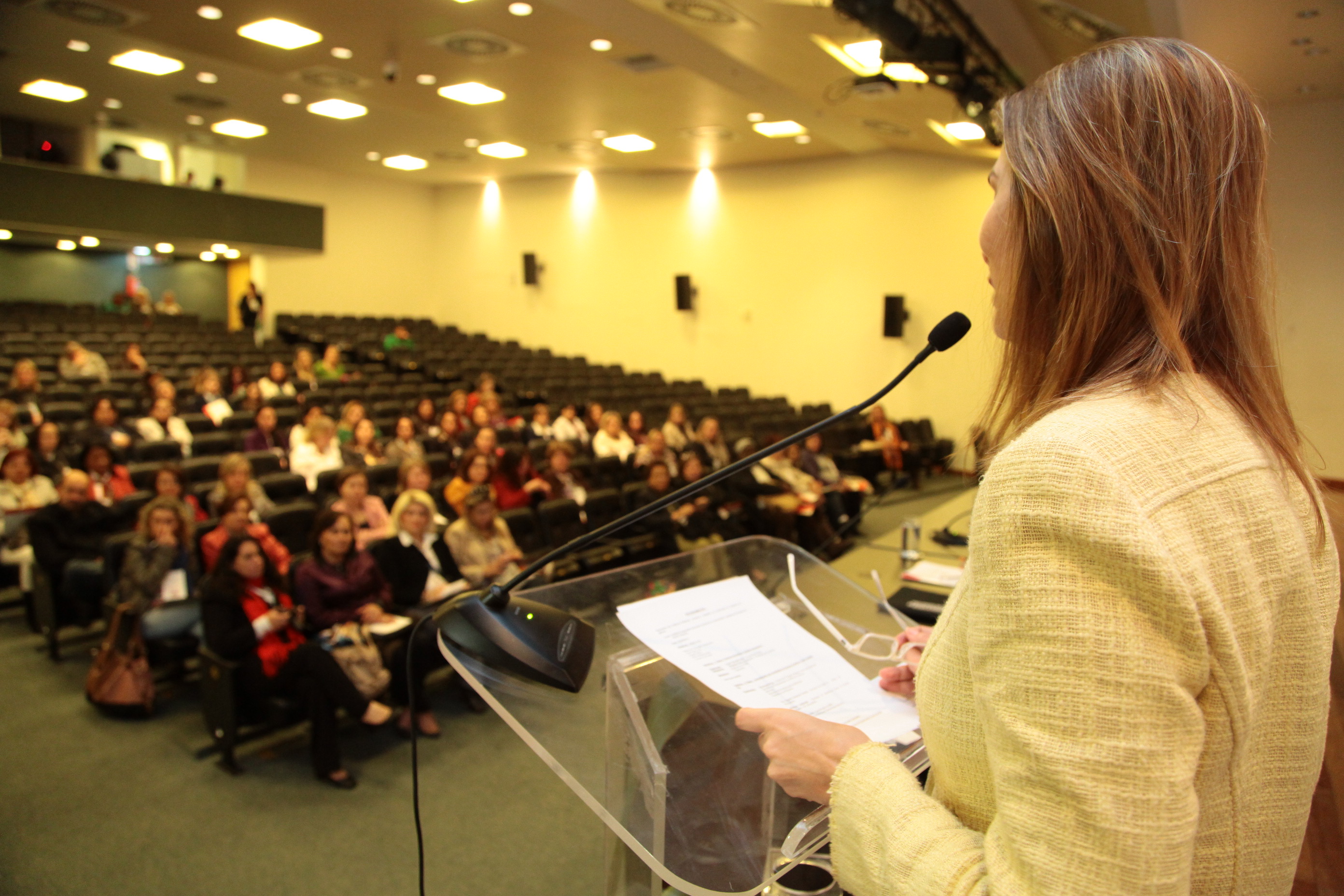 Seminário sobre Violência contra a Mulher, promovido pela Bancada Feminina da Alesc. Foto: Miriam Zomer/ Agência AL