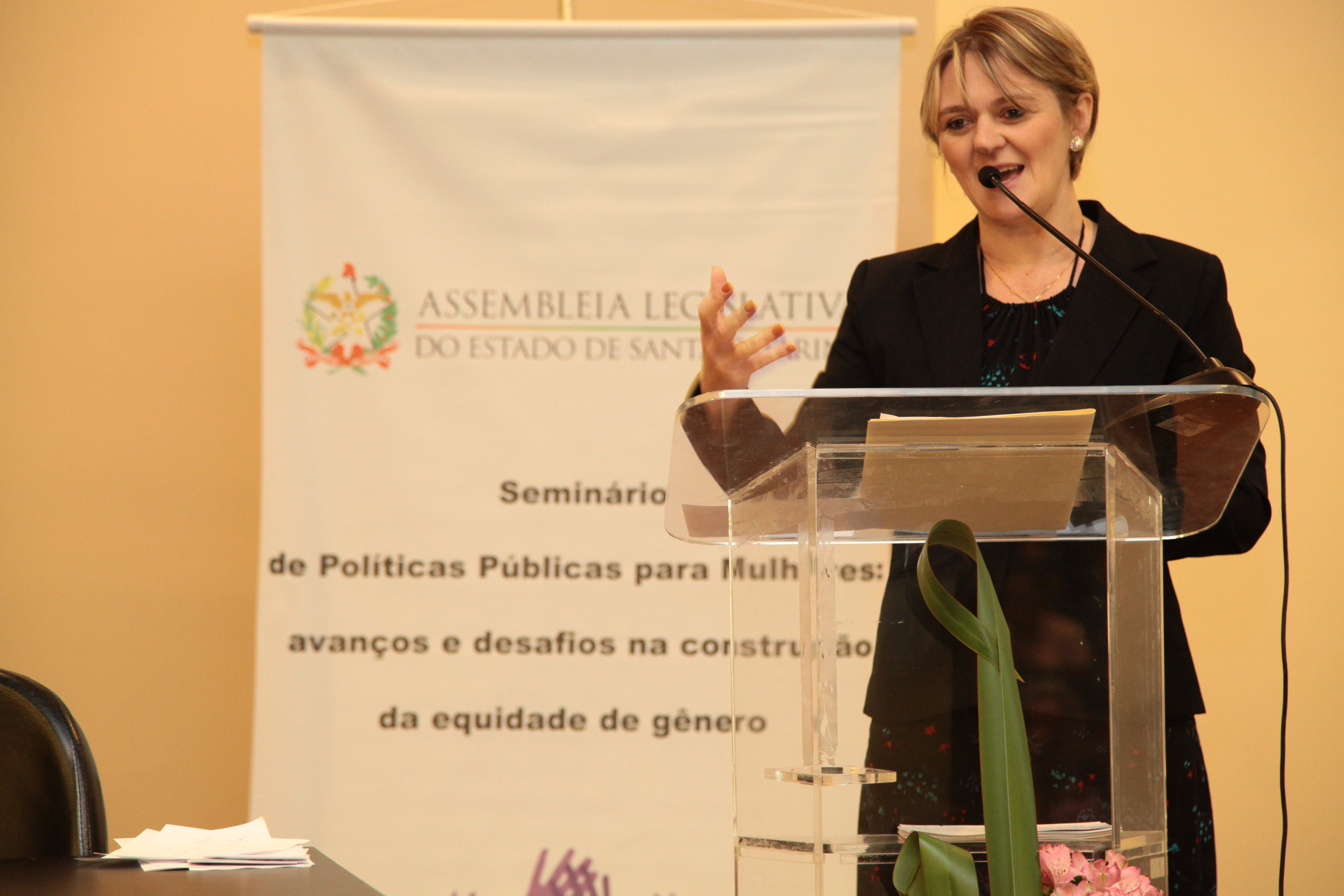 Seminário sobre Violência contra a Mulher, promovido pela Bancada Feminina da Alesc. Foto: Miriam Zomer/ Agência AL