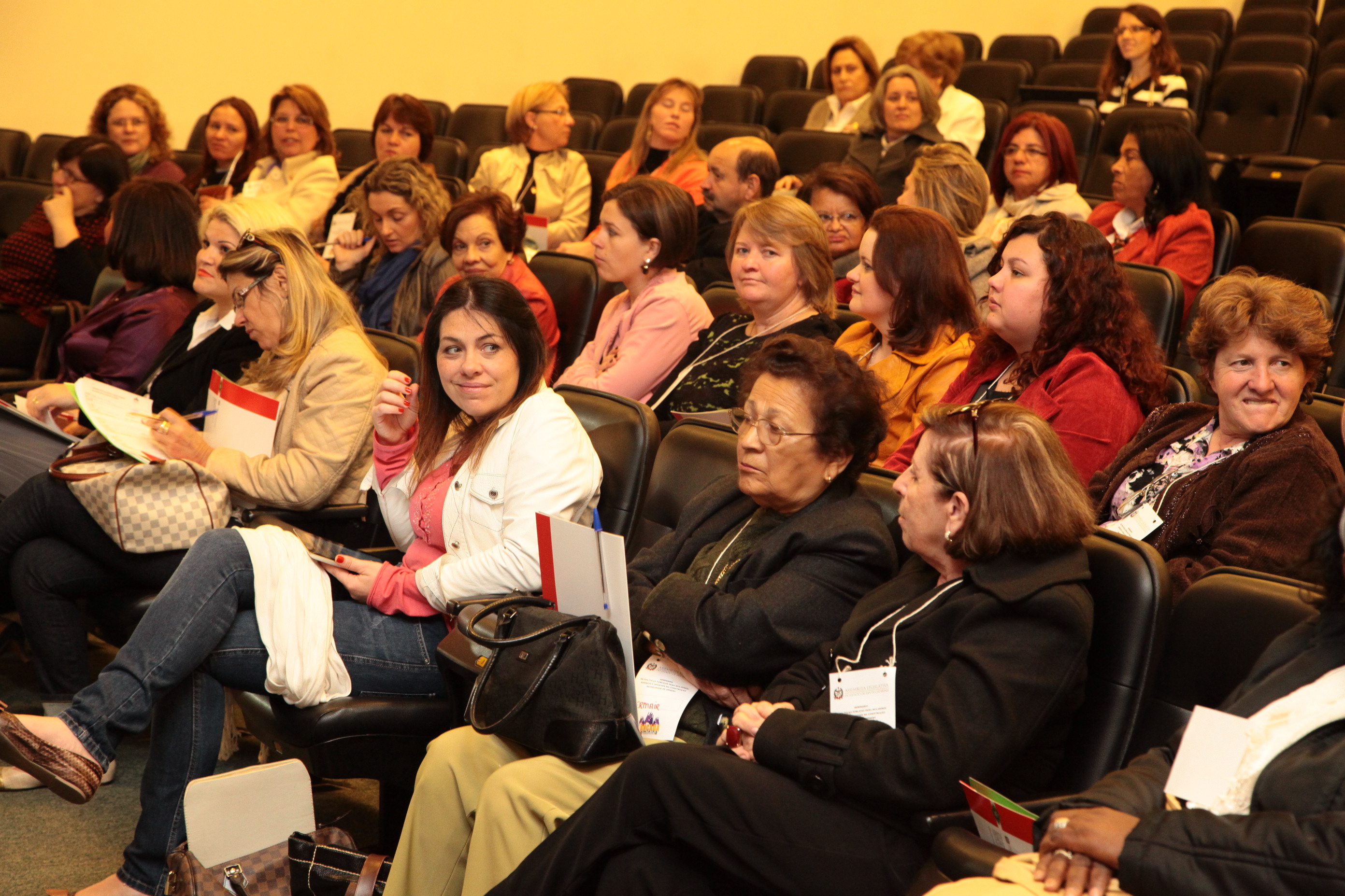 Seminário sobre Violência contra a Mulher, promovido pela Bancada Feminina da Alesc. Foto: Miriam Zomer/ Agência AL