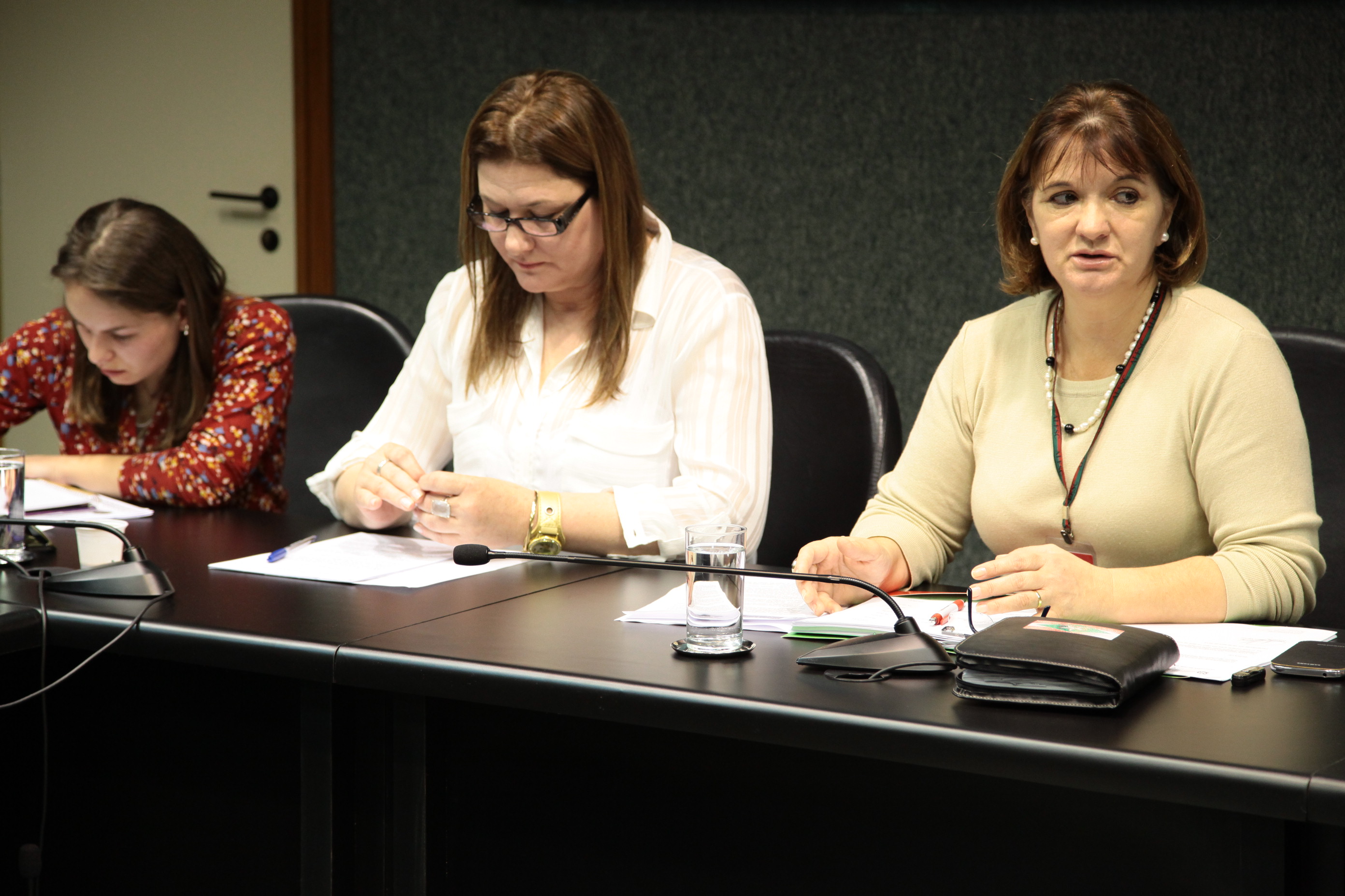 Reunião do Estatuto da Federação das AMAS de Santa Catarina. Foto: Miriam Zomer/Agência AL