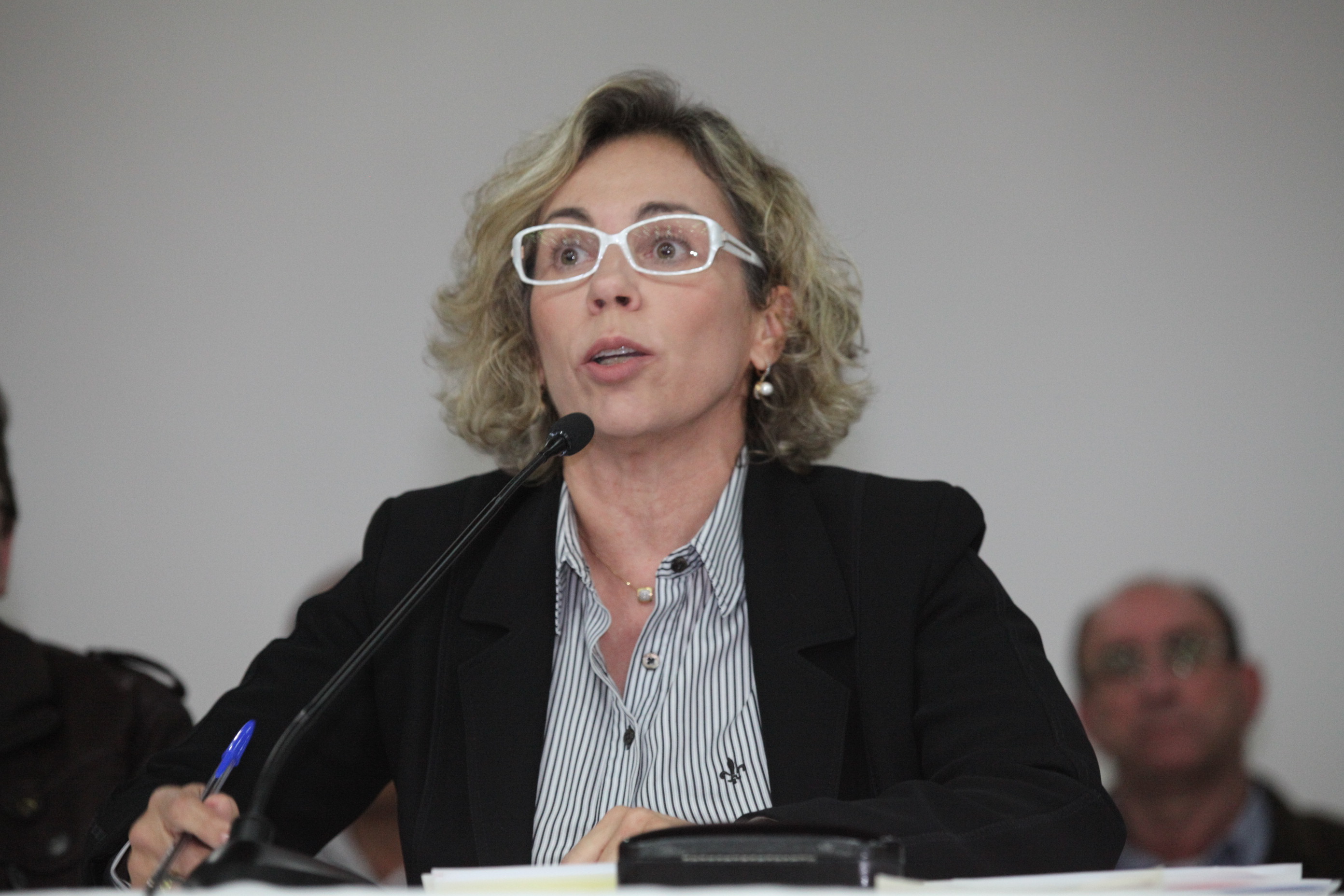 Deputada Ana Paula Lima (PT) - Audiência Pública em Nova Veneza debateu os problemas na avicultura de Santa Catarina