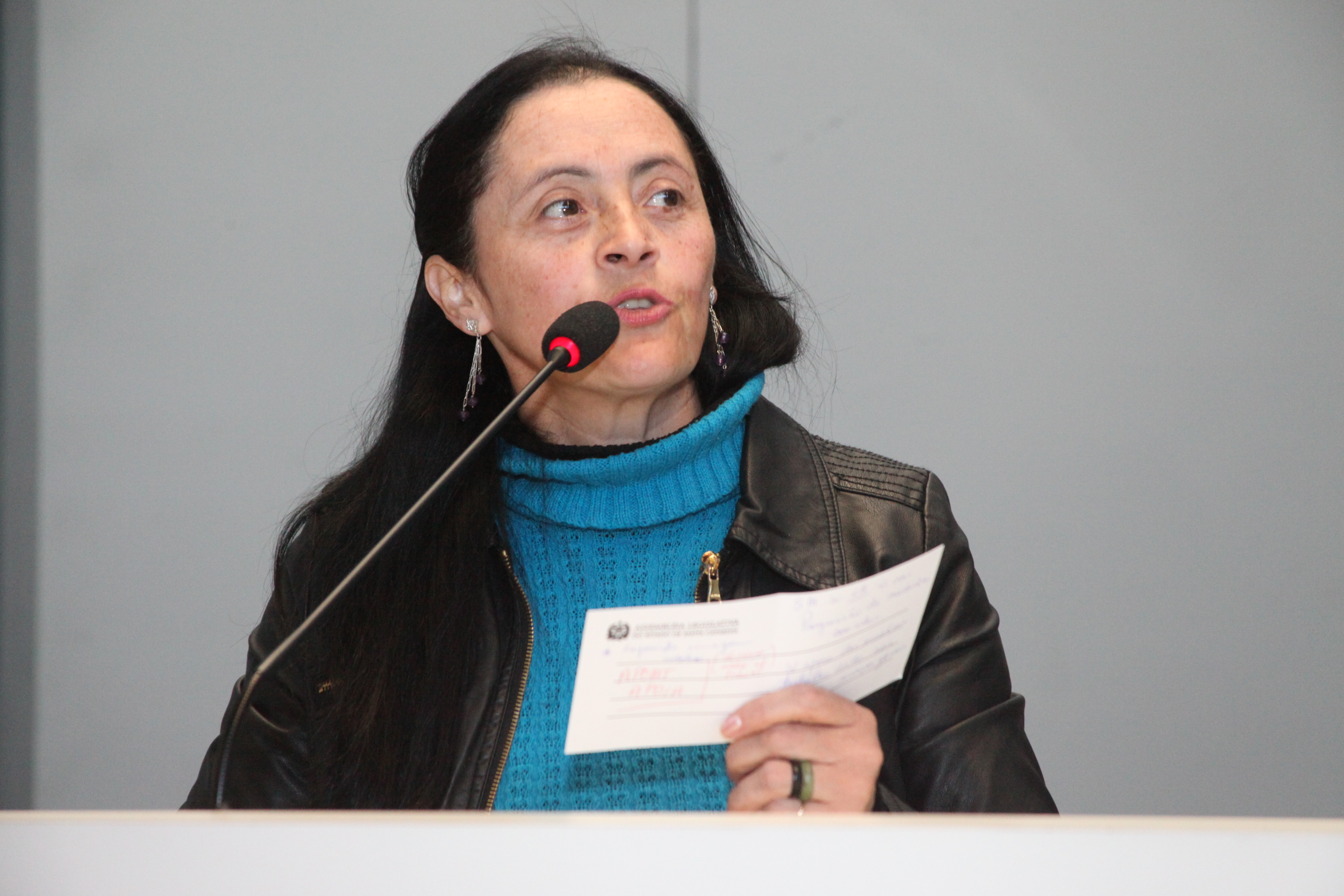 Audiência Pública a fim de discutir o tema: Adolescentes em conflito com a lei e medidas socioeducativas. Como a FIA (Fundo da Infância e Adolescência) pode ajudar a solucionar o problema. Foto: Fábio Queiroz/Agência AL