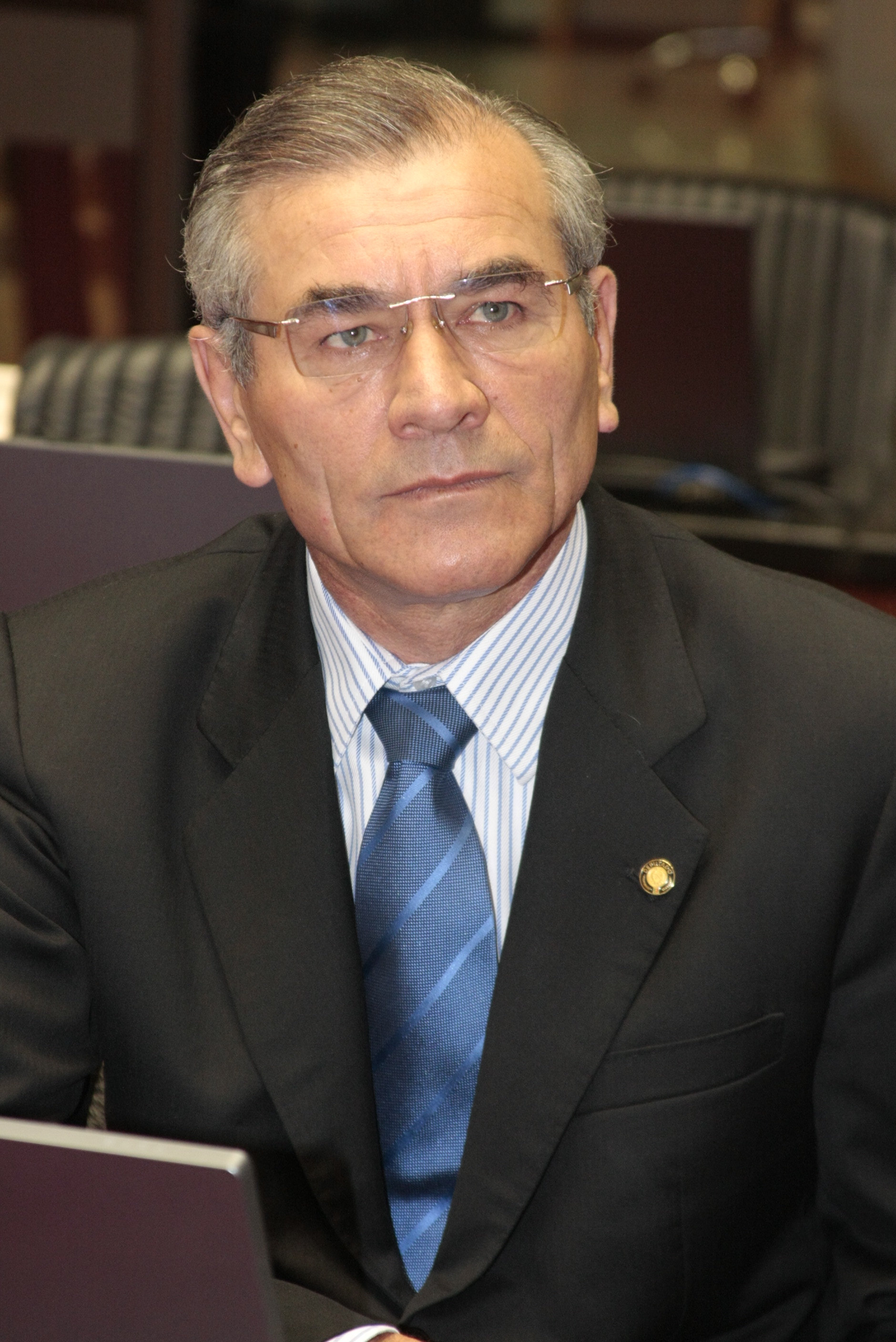 Sessão Ordinária. Foto: Fábio Queiroz / Agência AL