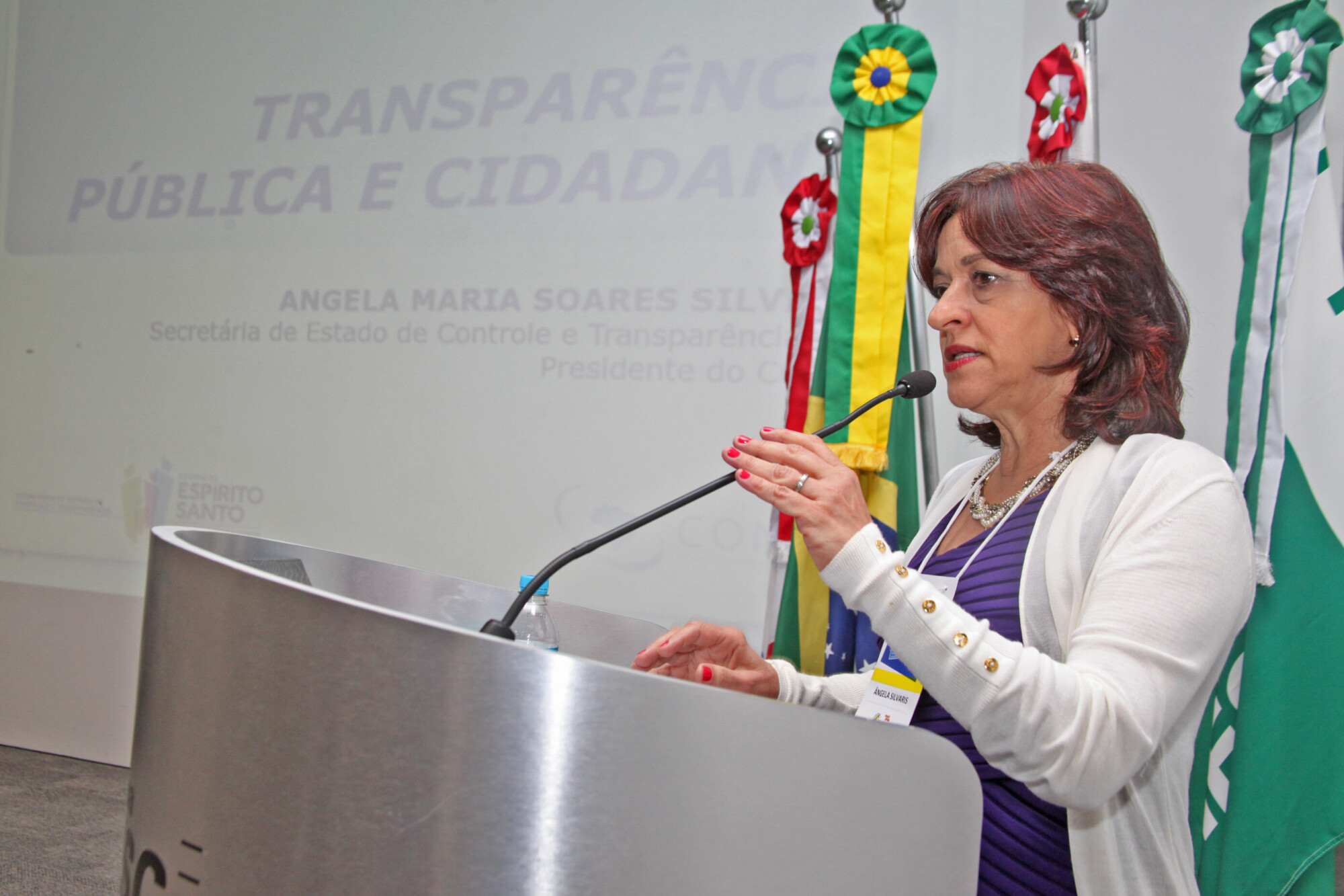 Seminário debate desafios da transparência no setor público