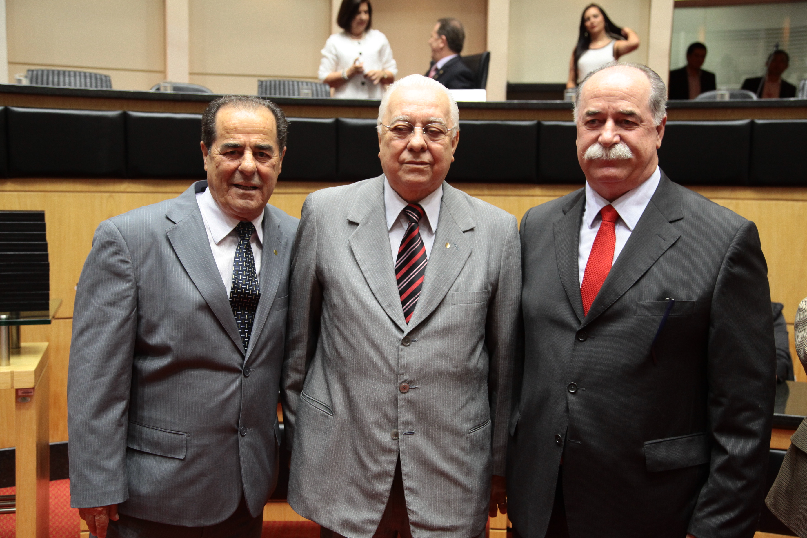 Sessão Especial em comemoração aos 25 anos de Instalação da Assembleia Constituinte em Santa Catarina. Foto: Miriam Zomer/ Agência AL