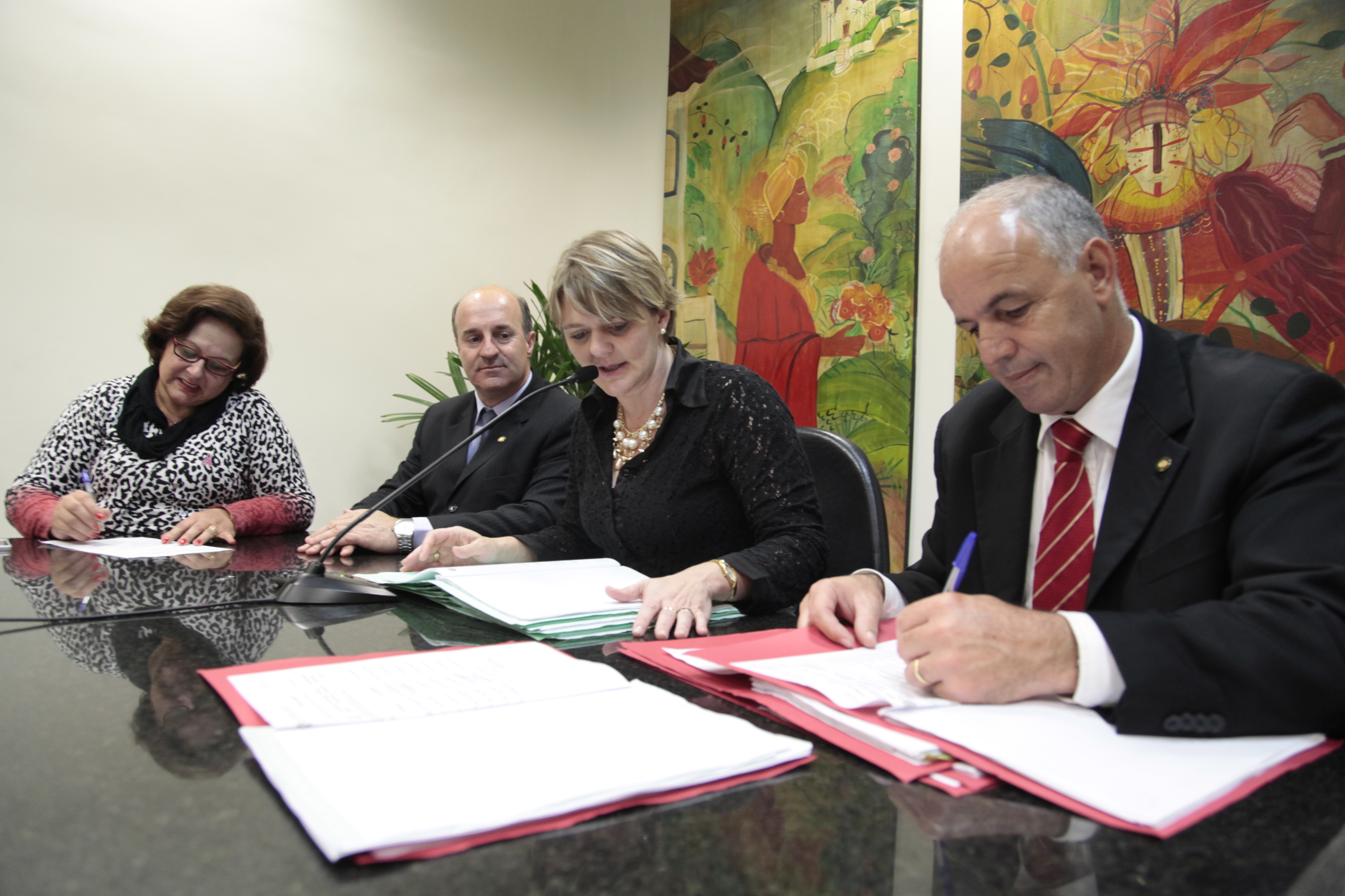 Reunião da Comissão de Direitos Humanos