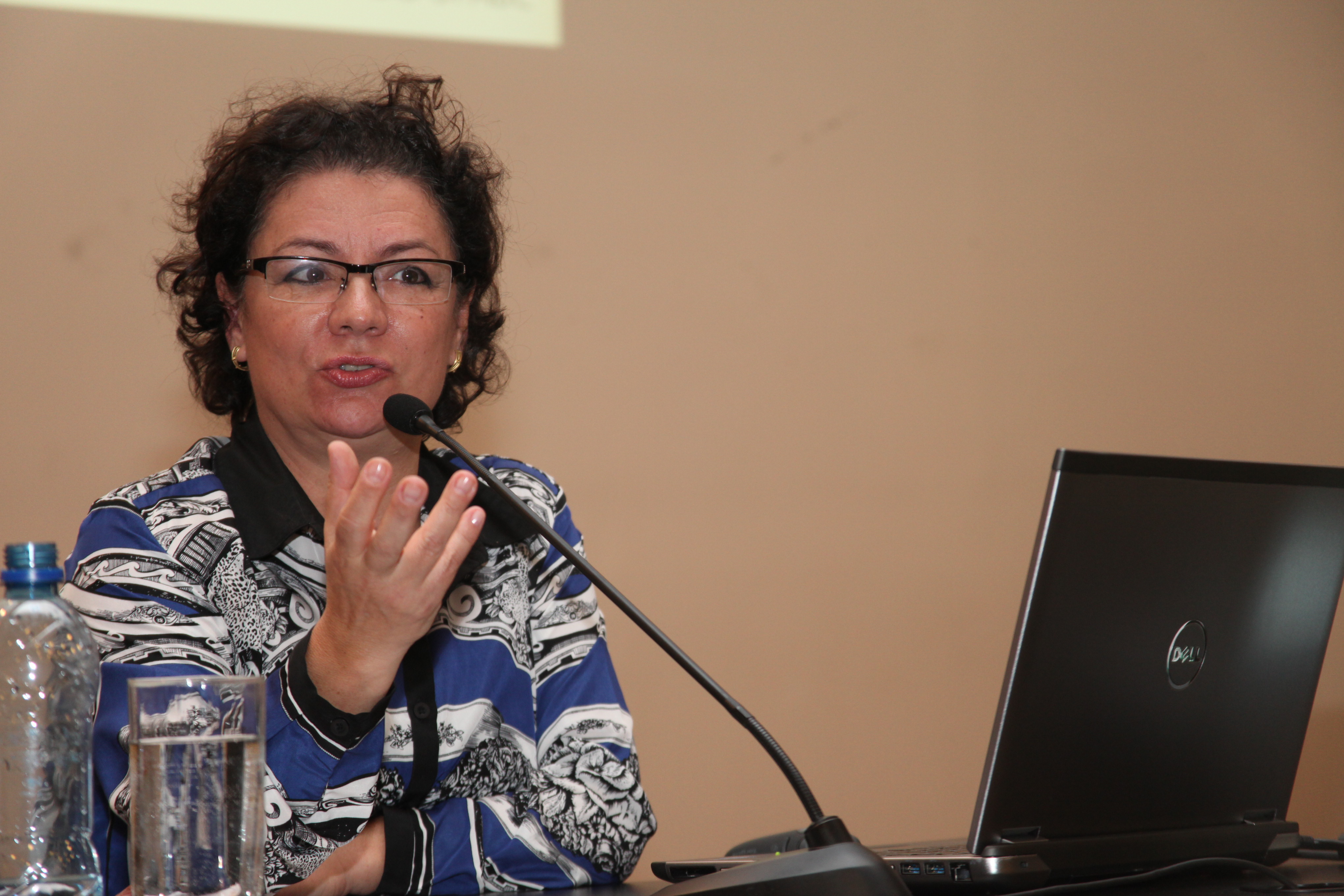 Rosana Denaldi. Seminário Estadual de Habitação. Foto: Leonardo Gonçalves / Agência AL
