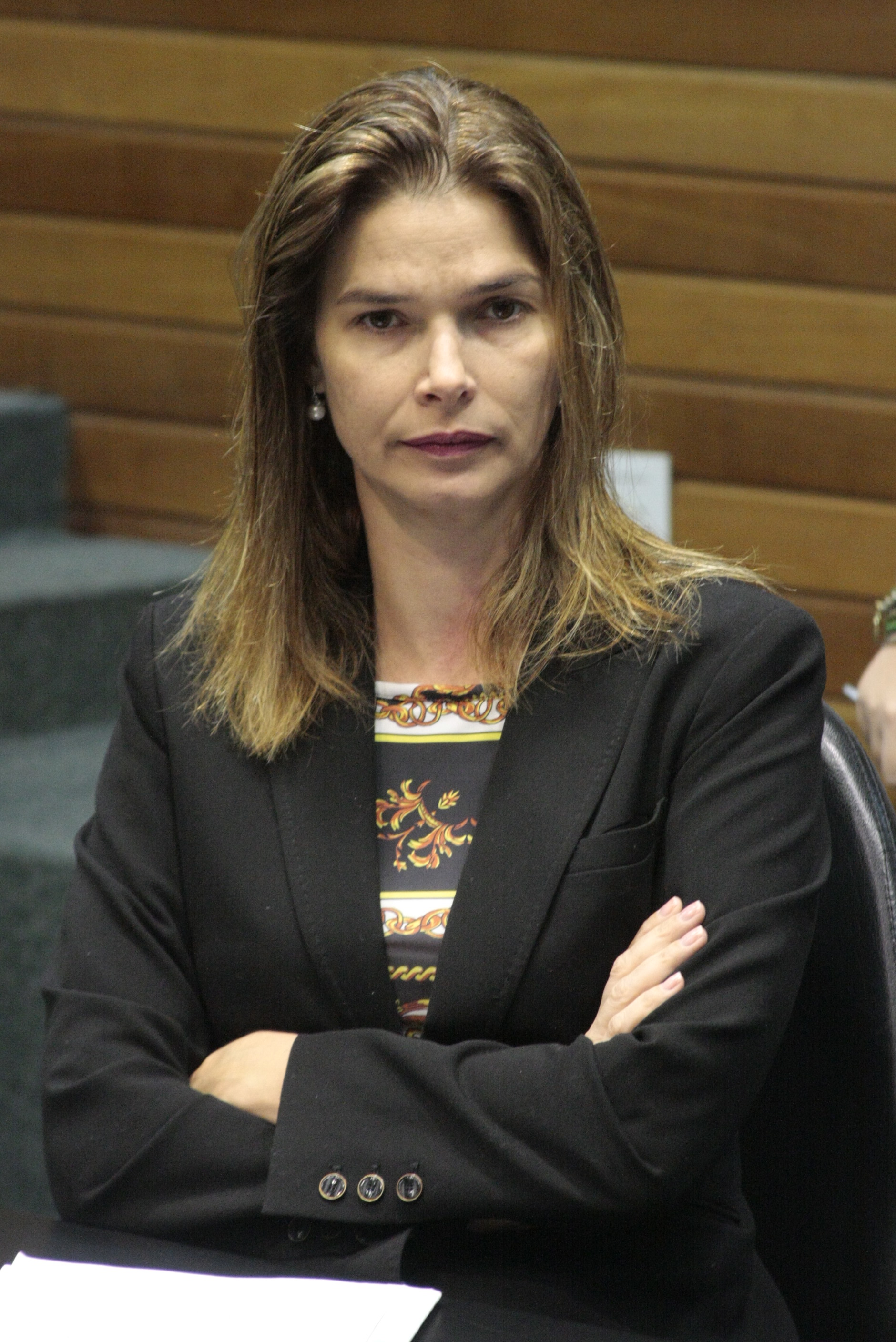 Deputado Angela Albino (PCdoB). Comissão de Finanças e Tributação. Foto: Fábio Queiroz / Agência AL