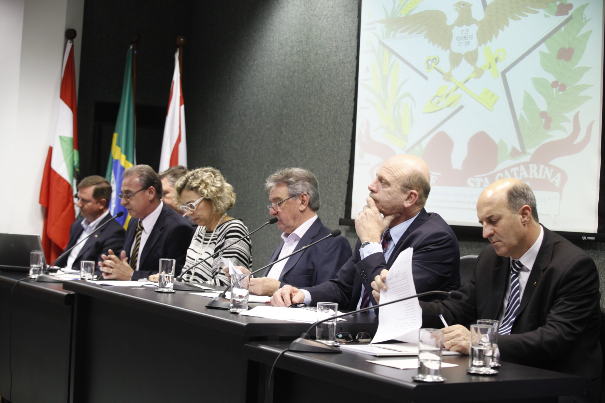 Crise na produção de aves em SC tem nova rodada de discussões na Assembleia