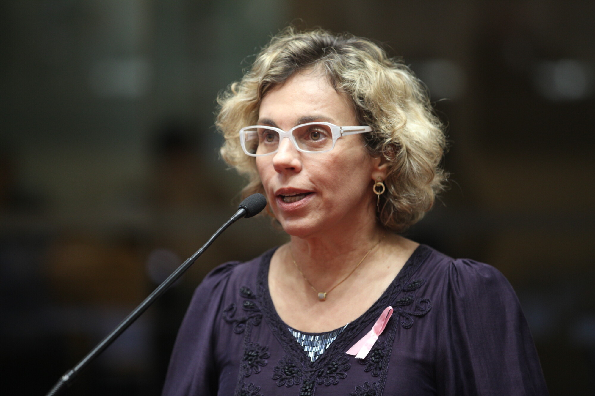 Ana Paula Lima fala sobre Seminário Catarinense de Desenvolvimento Social