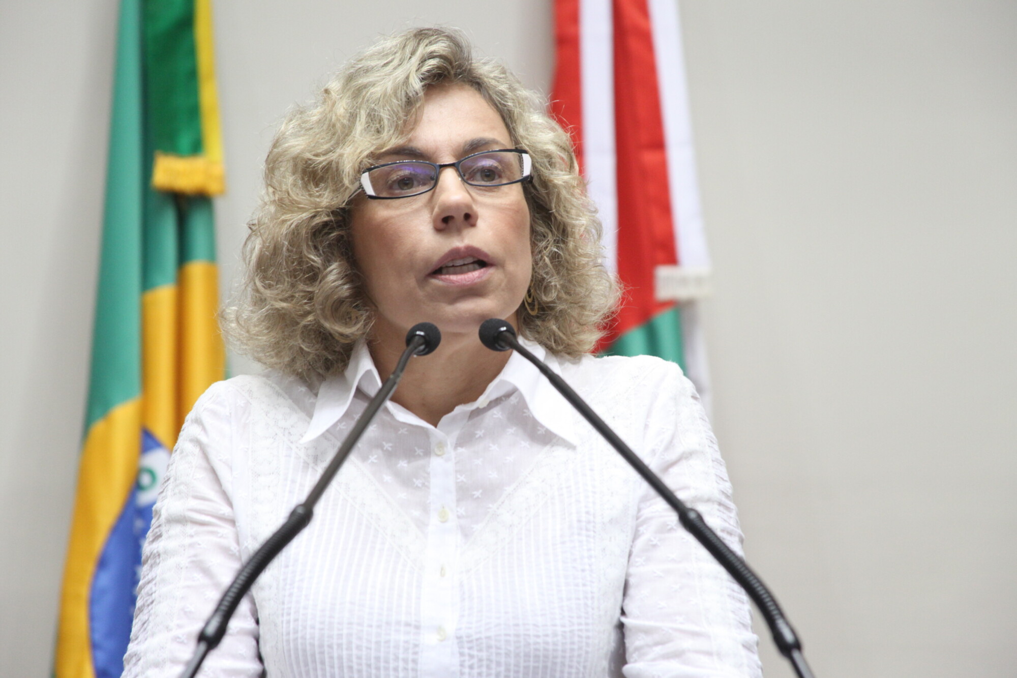 Projetos da bancada petista contemplam diversidade étnica-racial de Santa Catarina