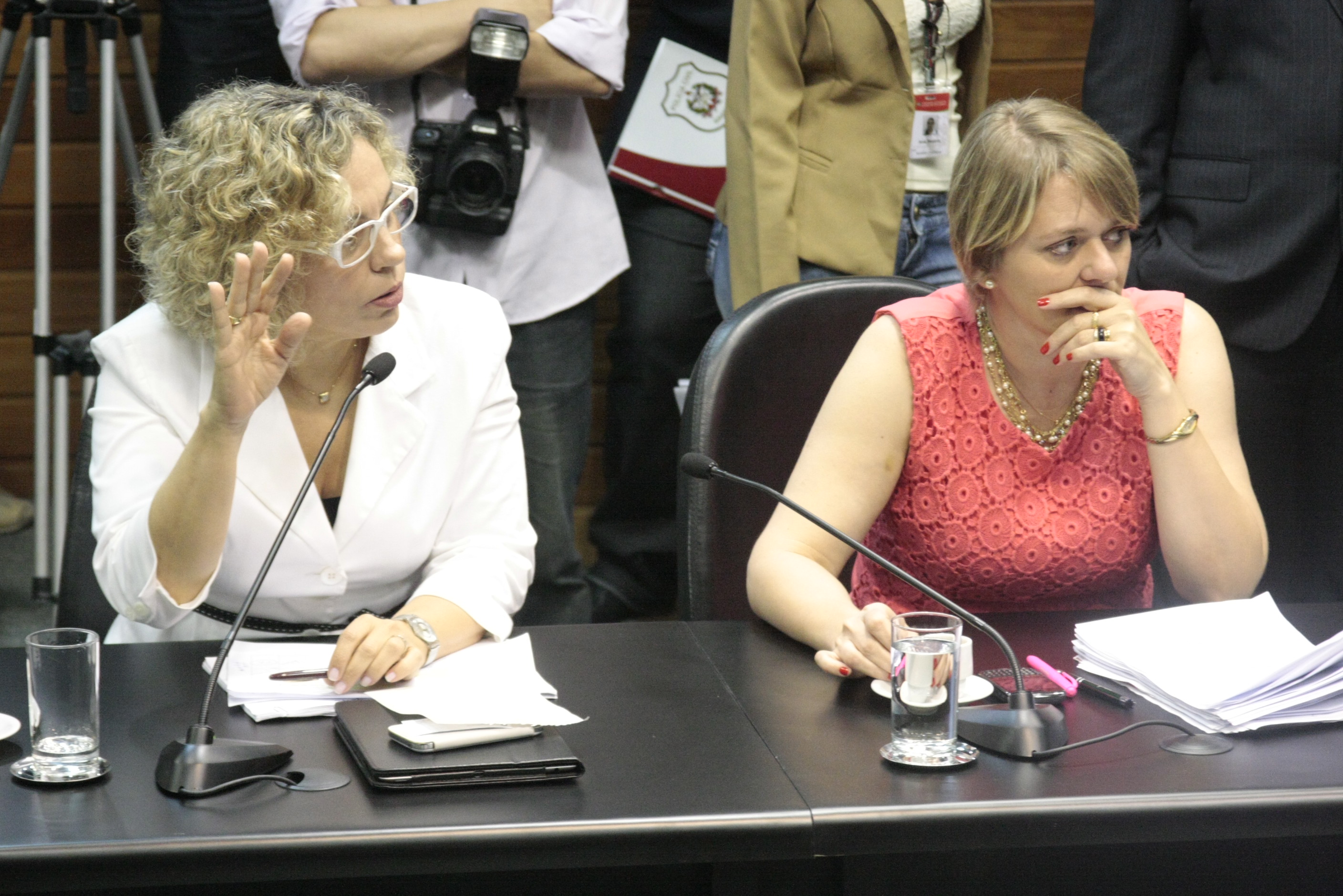 Reunião da Comissão de Constituição e Justiça. Foto: Fábio Queiroz / Agência AL