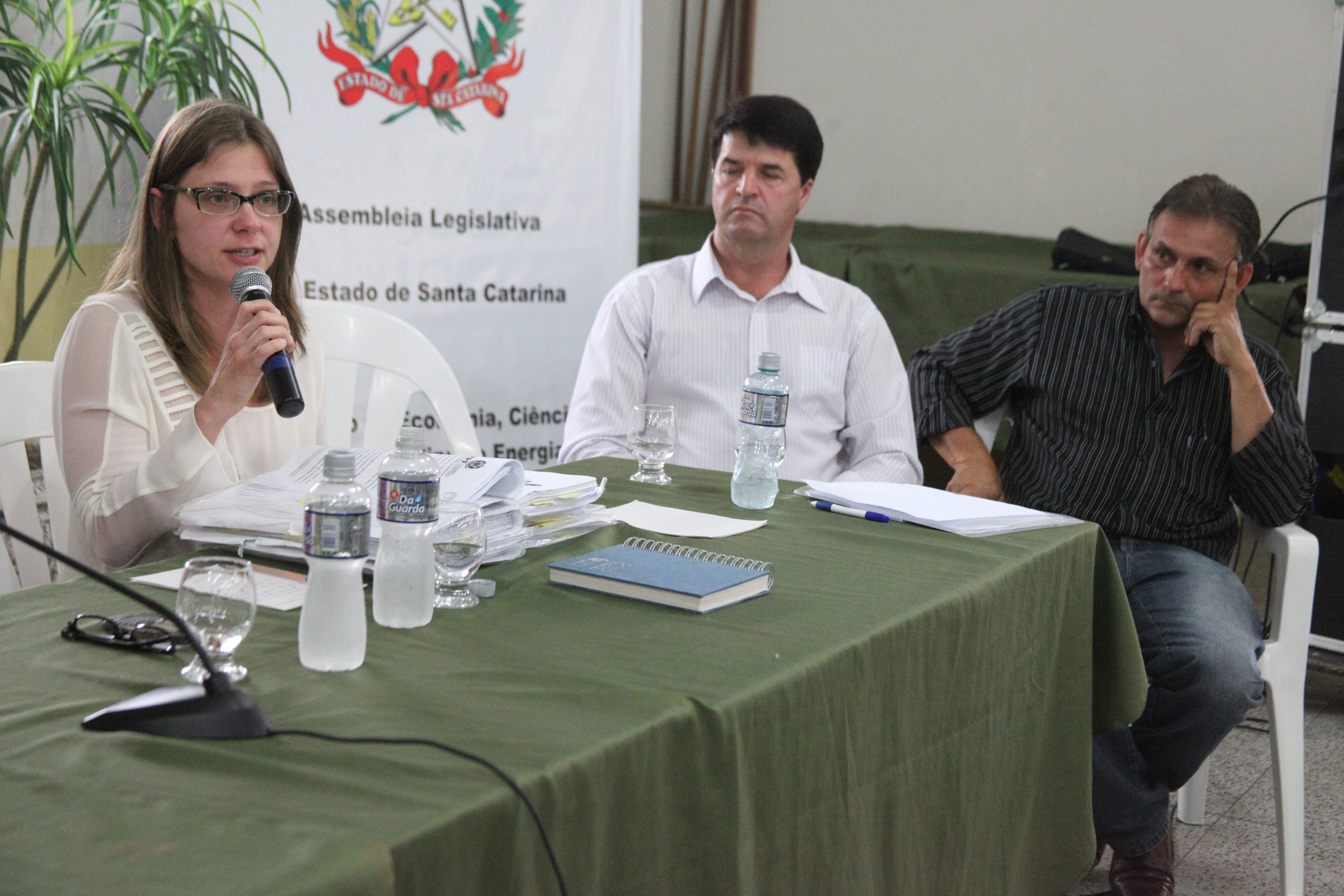 Audiência Pública em Turvo. Foto: Fábio Queiroz / Agência AL