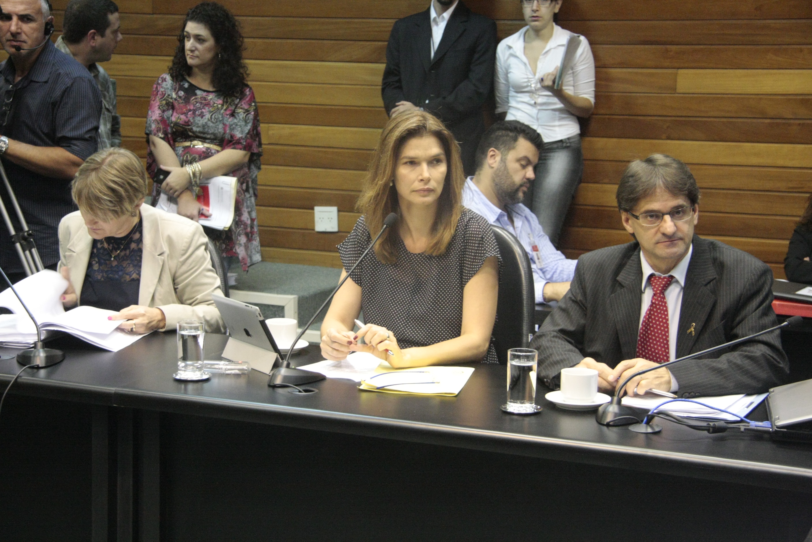 Reunião da Comissão de Finanças e Tributação. Foto: Fábio Queiroz / Agência AL