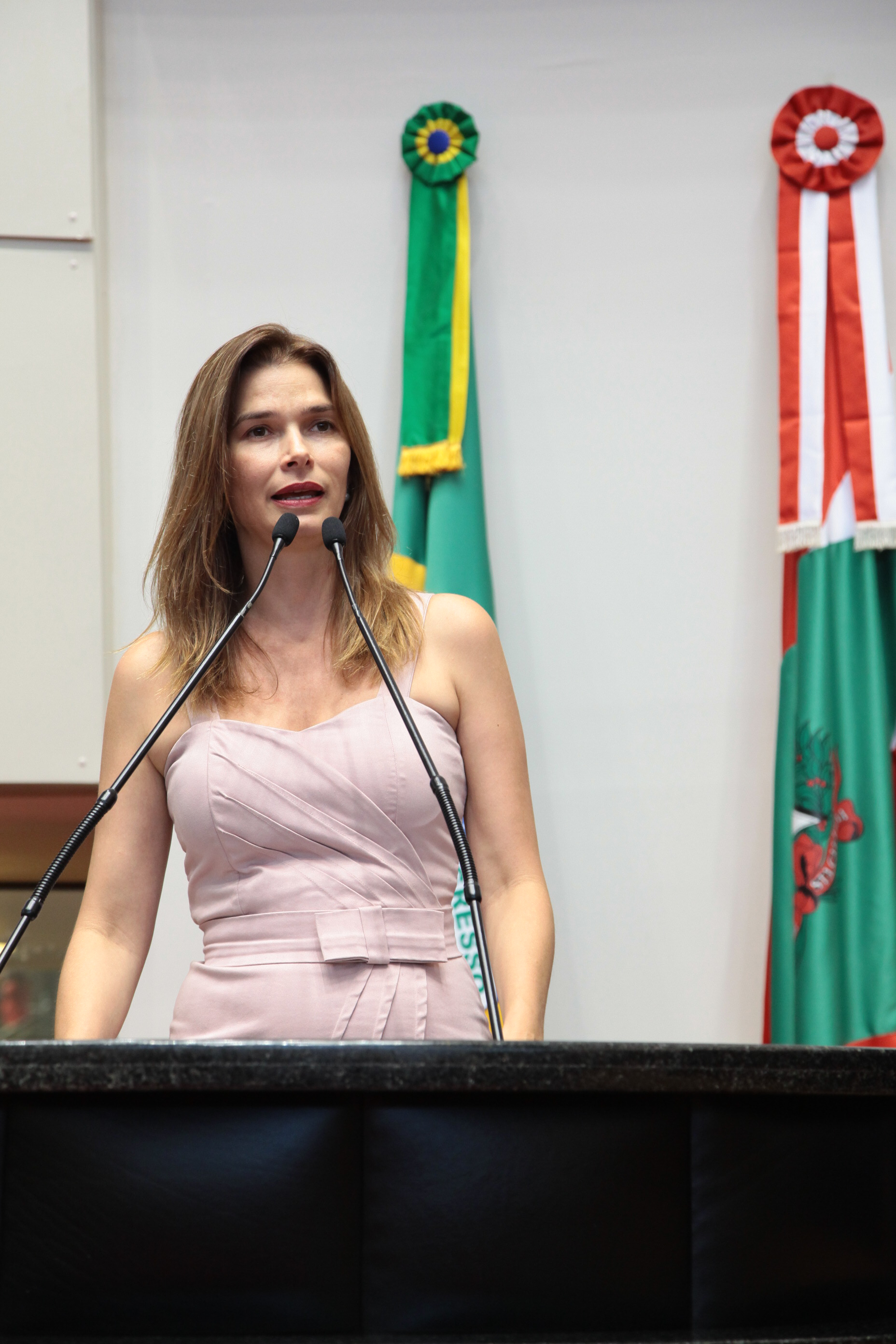 Sessão Ordinária - Dep. Angela Albino (PCdoB) - Foto: Juliana Stadnik / Agência AL